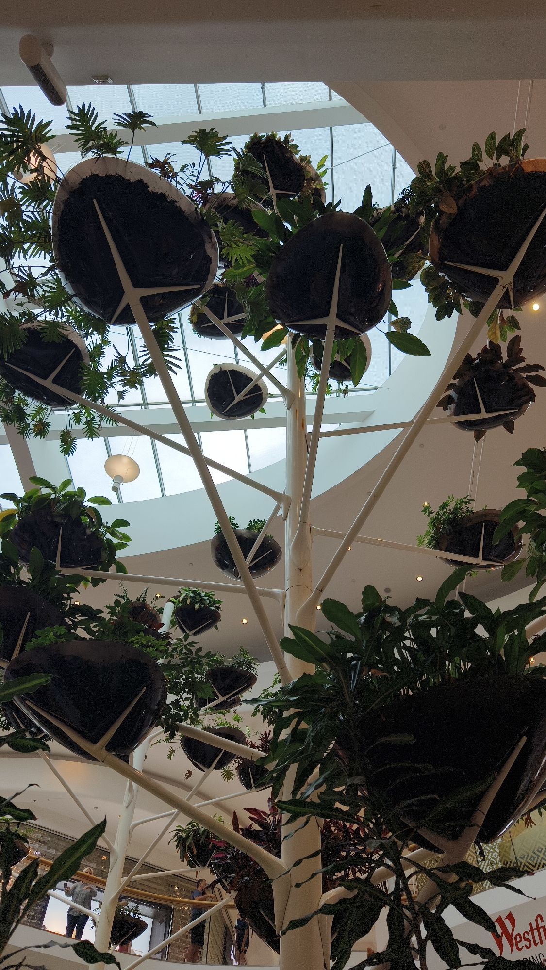 The image depicts an indoor vertical garden installation within a commercial space. The central focus is a large, white, tree-like structure with multiple branches supporting large, dark, bowl-shaped planters. These planters are filled with various lush green plants, some with feathery fronds, others with broader leaves. The planters are suspended at different heights and angles, creating a dynamic, multi-layered display.

Above the structure, a white ceiling with a large skylight is visible, allowing natural light to filter into the space. Several pendant lights are also suspended from the ceiling. In the background, glimpses of the commercial environment are visible. On a lower level, there are railings and people browsing. One person in a grey top is holding a phone up, possibly taking a picture. Another person in a blue top is looking down. Further in the background, a sign for "Westfield Shopping City Süd" is partially visible, identifying the location as Westfield Shopping City Süd in Vösendorf, Austria. The overall impression is a modern, well-lit indoor environment where nature has been integrated for aesthetic purposes.