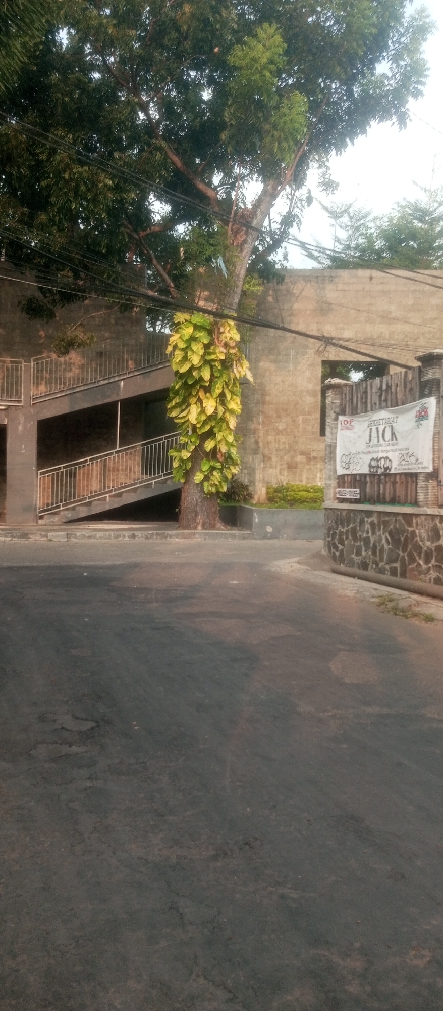 The image depicts an outdoor scene with a tree covered in large, yellow-green leaves growing vertically up its trunk. To the left, a modern concrete staircase with silver railings ascends. Behind the staircase and tree is a textured, beige concrete wall. On the right side of the image, a wooden fence with stone accents runs along the property line, and a white banner with red and black text, including the word "JACK," is displayed. A small, green bush is visible in the foreground. The ground in front of these structures is an asphalt road with visible cracks and patches, suggesting wear. The scene is illuminated by natural light, likely from the sky, which appears overcast or hazy. The overall impression is of an urban or semi-urban environment in Kediri City, Indonesia, with a blend of natural elements and man-made structures.