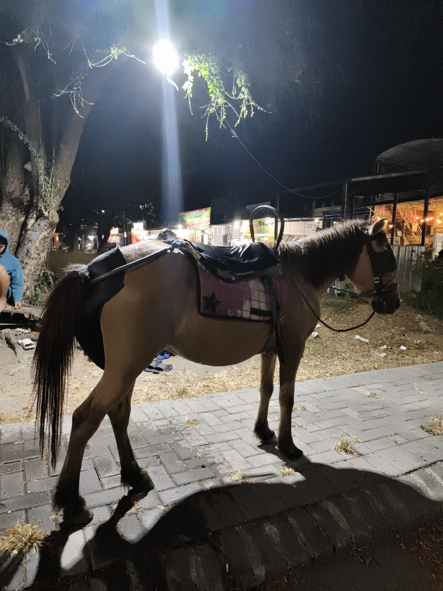In Petiken, Indonesia, a brown horse stands tethered on a paved walkway at night. The horse is equipped with a saddle and bridle. To the left of the horse, a person wearing a blue hooded jacket sits on a wooden bench near a large tree. In the background, a street is illuminated by artificial lights, with businesses and some people visible. The ground around the horse is covered with dry leaves and straw.
