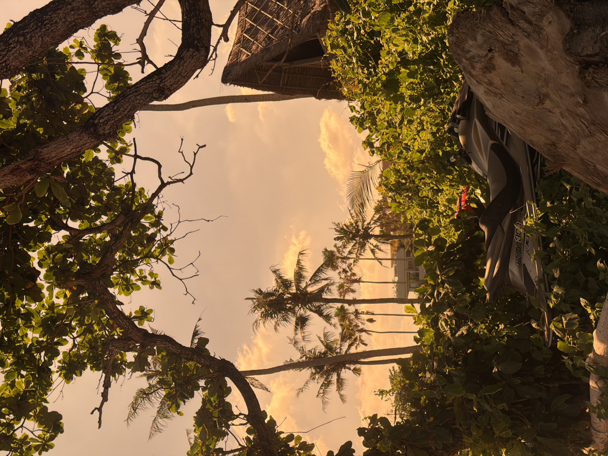 Captured in North Kuta, Indonesia, the scene presents a warm, sunset-hued sky partially obscured by palm trees and verdant foliage. A thatched-roof structure is visible among the trees. A light-colored personal watercraft sits amidst the dense greenery. The image is framed by branches of trees in the foreground, creating a natural border.