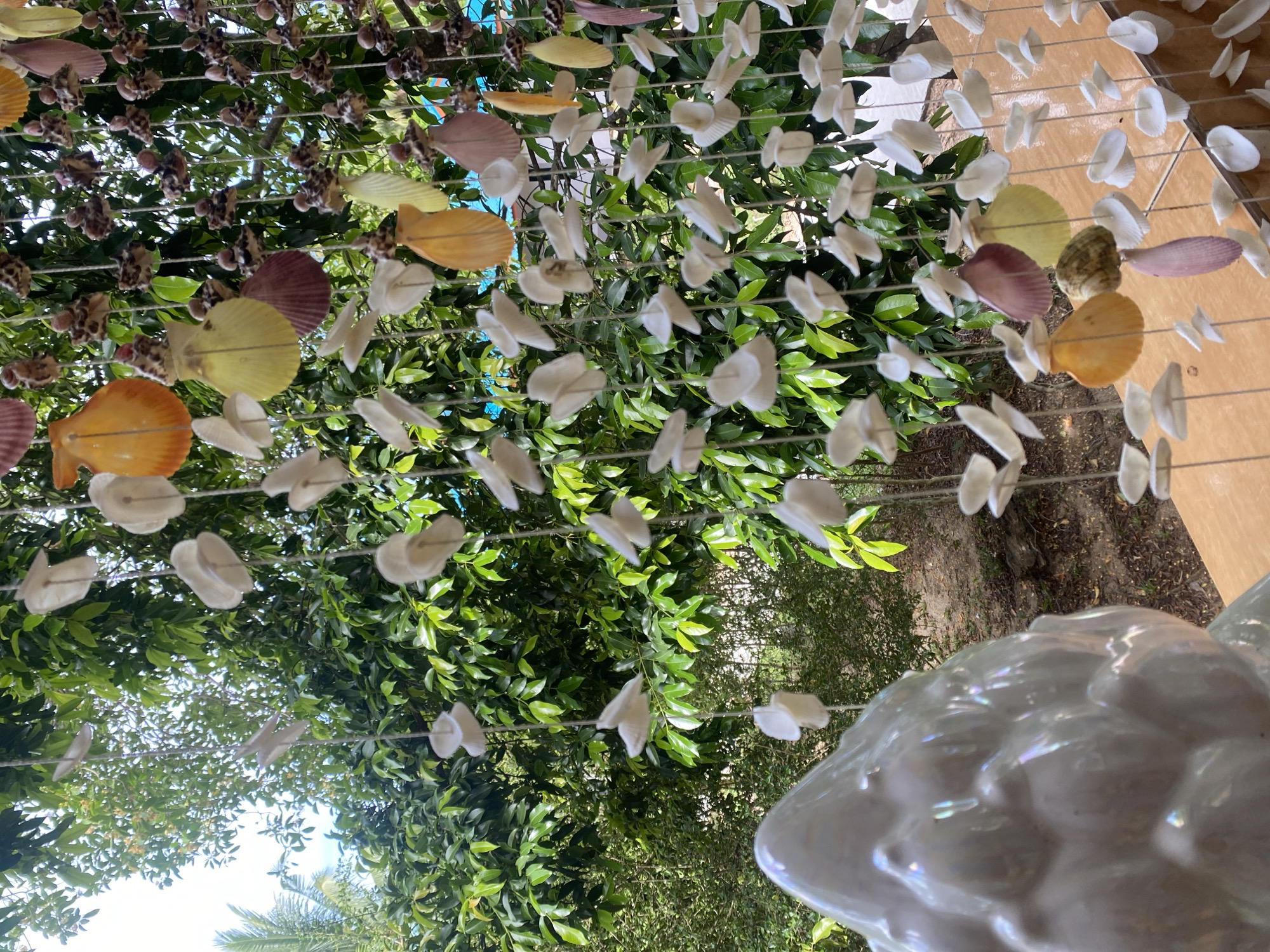 The image depicts a close-up, upward-facing view of a seashell wind chime hanging outdoors in Baan Nai Suan, Thailand. The wind chime is constructed with multiple strands of rope, each adorned with various seashells in colors like white, yellow, orange, brown, and purple. Some shells are small and singular, while others are larger and appear to be scallop shells. The background consists of lush green foliage, primarily tree leaves, filling the frame. In the bottom right corner, a portion of a white, possibly ceramic, object is visible, exhibiting a glossy, reflective surface. The overall lighting appears to be natural daylight, casting shadows through the leaves and highlighting the sheen of the shells. The image has been rotated.