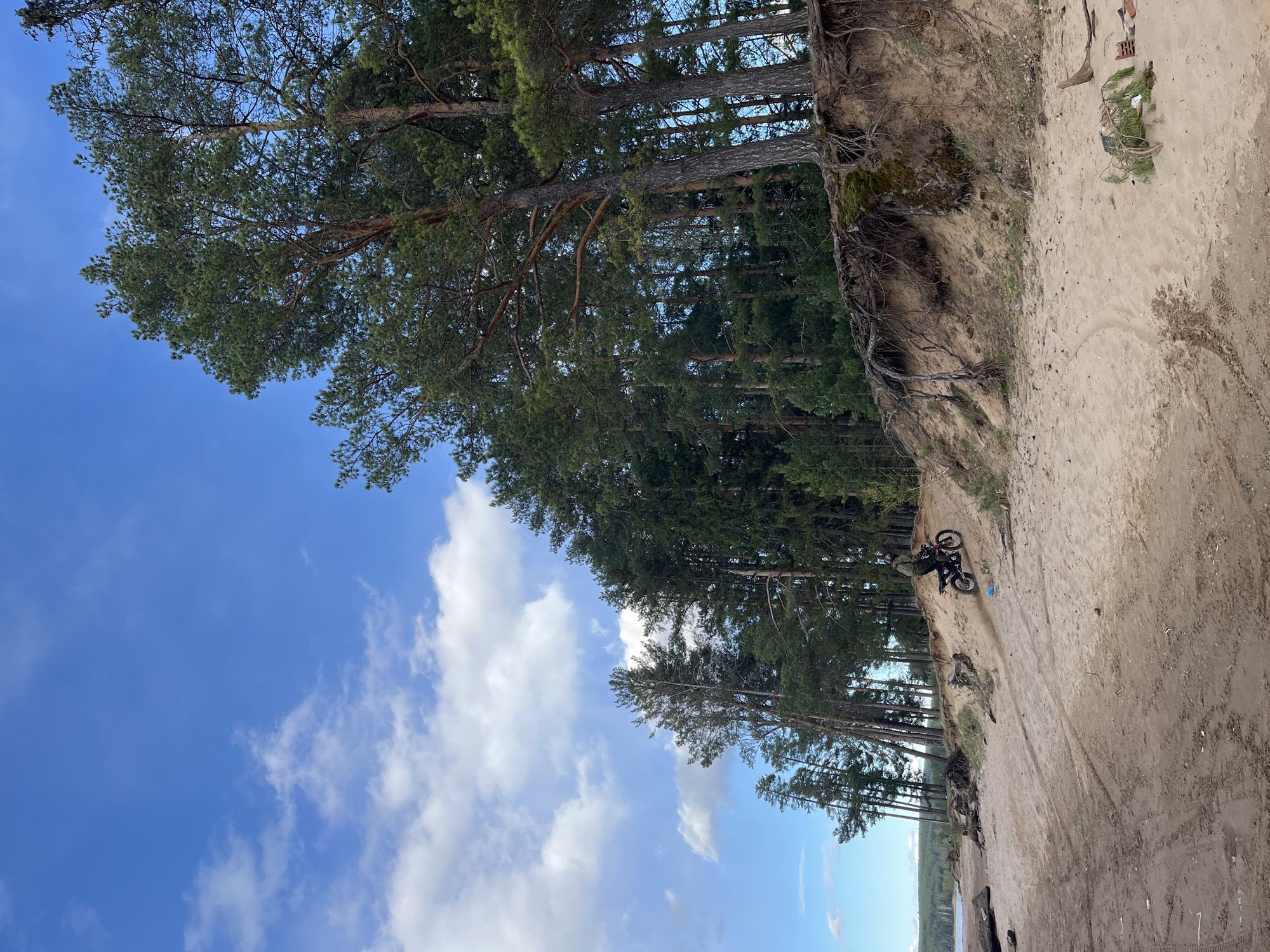 The image depicts a sandy embankment or cliff face in Chaikovsky, Russia, adjacent to a forest of tall, thin trees. The ground transitions from the trees' root systems and exposed dirt to a sloping sandy area. A person on a motorcycle is situated near the edge of the embankment. The sky is visible, with blue patches and scattered clouds.