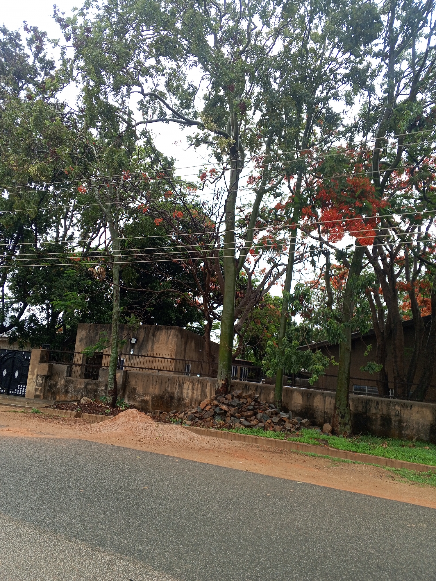 The image depicts a street scene in Jos, Nigeria. In the foreground is an asphalt road with a sandy shoulder. Along the shoulder are piles of reddish-brown soil and rocks. A low, concrete wall runs behind the soil and rocks, topped with a metal fence in sections. Behind the wall, there is a building, partially obscured by trees. The trees have green leaves and some have bright red flowers. Power lines are strung between the trees. The sky is overcast.