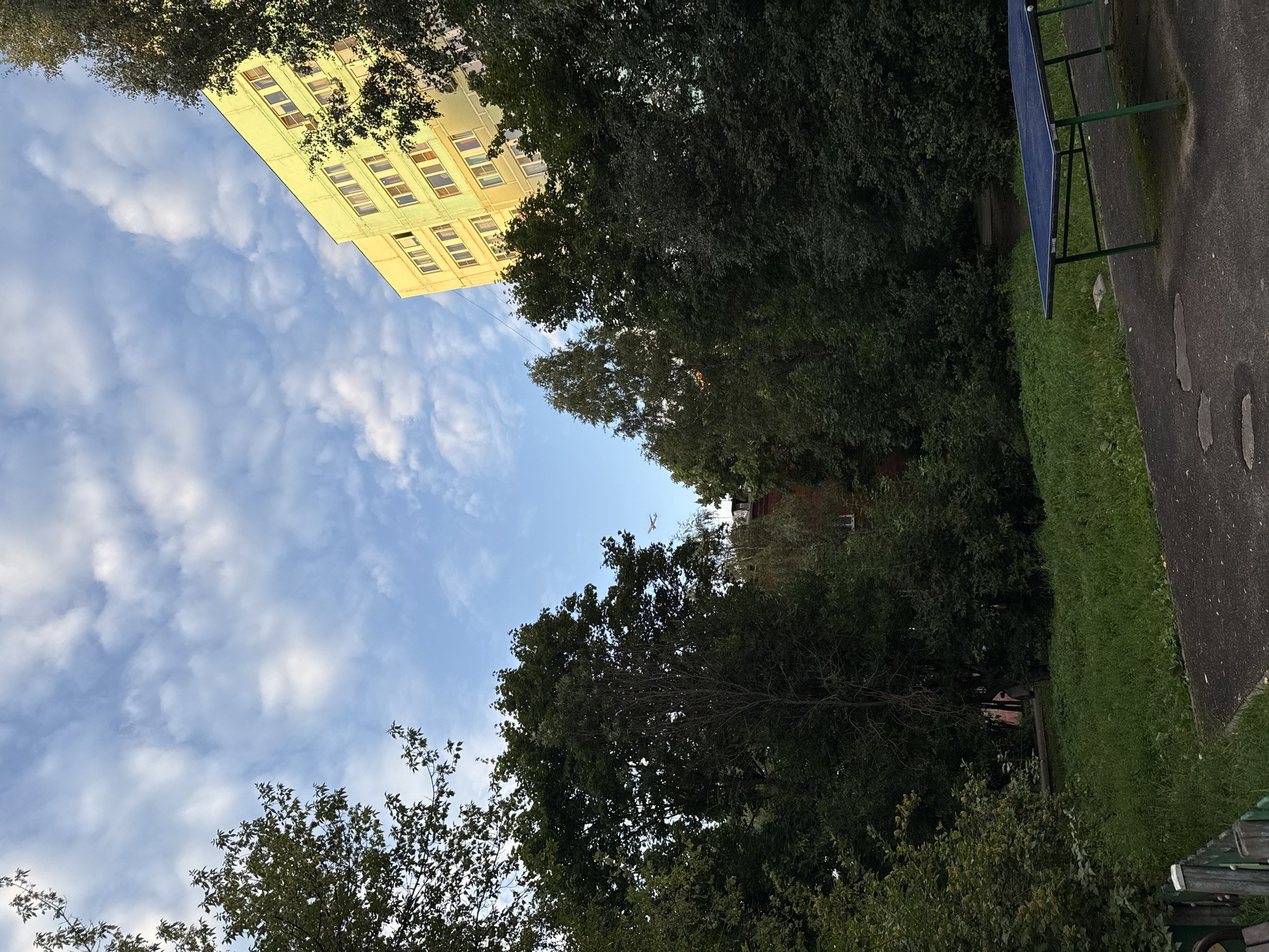 In an outdoor scene in Khimki, Russia, a light yellow apartment building rises above a dense canopy of dark green trees. The building, with its numerous rectangular windows, is bathed in sunlight, contrasting with the shaded foliage. The sky above is a clear blue, dotted with scattered white clouds, and a distant airplane is visible. In the foreground, a patch of green grass slopes down to a dark asphalt surface. A blue ping-pong table with green legs sits on the asphalt, near a weathered wooden fence. The overall impression is of a residential area with mature trees and common outdoor amenities.