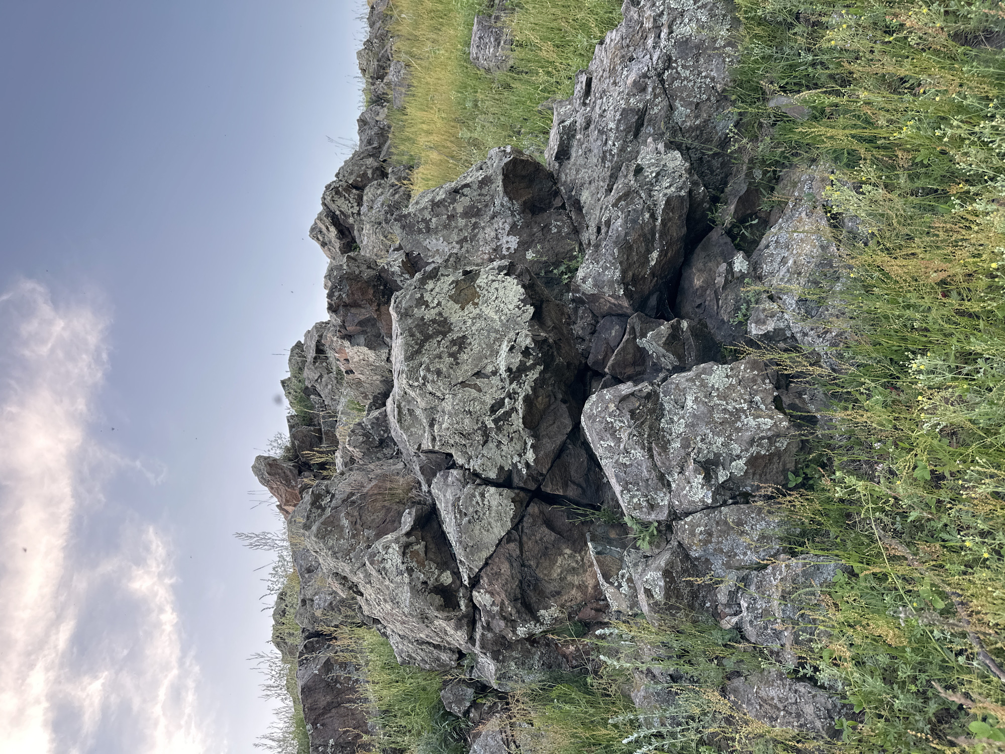 A close-up, eye-level shot shows a rocky outcrop covered in moss and lichen, with sparse green and yellow vegetation growing around its base. The sky above is a pale blue with wispy white clouds. The rocks are dark gray and appear to be weathered and fractured. Some of the rocks are covered in a light green lichen, while others show patches of dark moss. The vegetation is a mix of tall, thin grasses and smaller leafy plants. The lighting suggests it is either early morning or late afternoon.