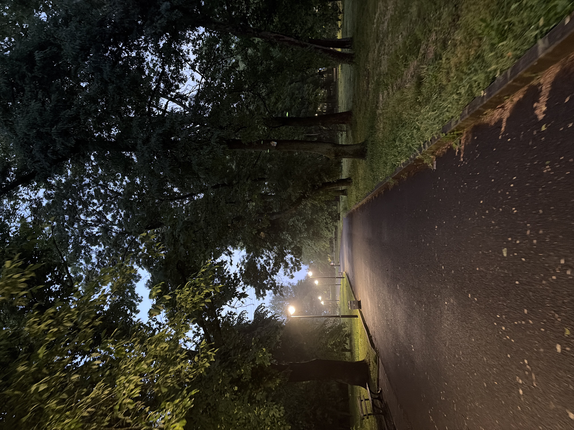 The image depicts a tranquil evening or early morning scene within a park or tree-lined area in Burgas, Bulgaria. A paved pathway, appearing wet and reflecting ambient light, extends diagonally from the lower right towards the center of the frame and recedes into the distance. It is bordered by a strip of neatly maintained grass on its right side.
Tall, dense trees line both sides of the path, forming a canopy overhead that mostly obscures the sky, though patches of a light blue-grey sky are visible through the foliage, indicating twilight hours. A row of streetlights runs along the right side of the path, their warm glow illuminating the immediate vicinity and creating a noticeable haze or mist in the air, particularly around the light sources. The path's surface is dotted with numerous small, bright reflections, consistent with a wet or damp ground. At least one park bench is visible on the right side of the path, nestled amongst the trees.
The scene conveys a sense of peaceful solitude. There are no people visible, and no specific activity or event is taking place. The prominent features are the natural elements of trees and grass, combined with the artificial lighting and paved path, suggesting an urban park setting. No visible text is present in the image.