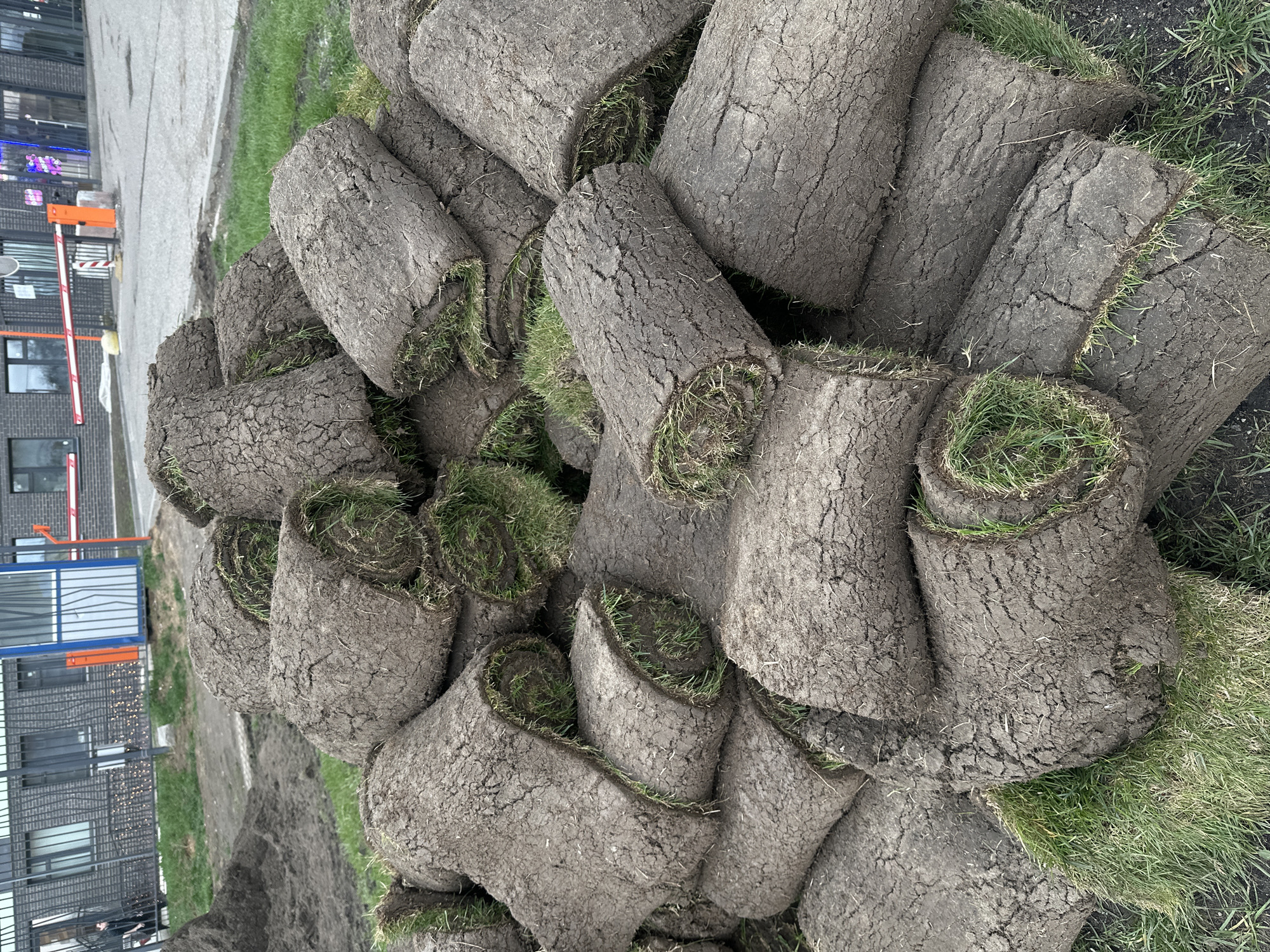The image displays a substantial pile of rolled-up sod, or turfgrass, stacked on the ground in the foreground and mid-ground. Each roll features a dark brown, earthy underside and a vibrant green grass surface, visible where the rolls are slightly unfurled or at their ends. The soil appears somewhat dry and cracked in places, indicating its natural texture. The rolls vary in size and are arranged haphazardly, suggesting they are awaiting installation for a landscaping project.
In the background, an urban or suburban setting is visible. To the left, there's a paved road or pathway, alongside which several modern-looking buildings with dark brick facades and multiple windows stand. A metal fence separates the grassy area from these buildings. An orange and white barrier, typical of a parking lot or access control point, is also discernible near the buildings. Further left, what appears to be a white structure with a blue roof or top, possibly a small container or utility building, is present. Patches of existing green grass and bare soil are scattered around the main pile of sod.
The scene takes place during the daytime under what appears to be overcast or diffused lighting conditions, as there are no strong shadows. No specific activity is clearly depicted, but the presence of the sod implies ongoing or planned landscaping work in this urban area of Moscow, Russia. There is no visible text in the image.