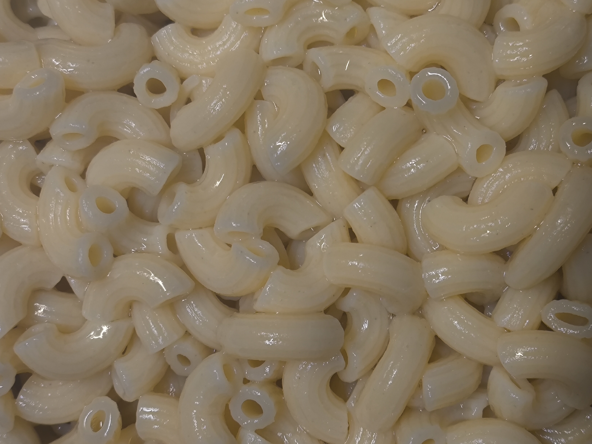 This is a close-up, top-down view of cooked macaroni pasta. The pasta is a light, creamy yellow color and appears slightly glistening, indicating it may be coated in a sauce or oil. The macaroni is of the elbow variety, with a curved tube shape. The arrangement is dense, with many pieces overlapping and filling the frame. The image does not provide any information about the city of Kaliningrad, Russia, nor does it depict any people, actions, or environmental context beyond the food itself.