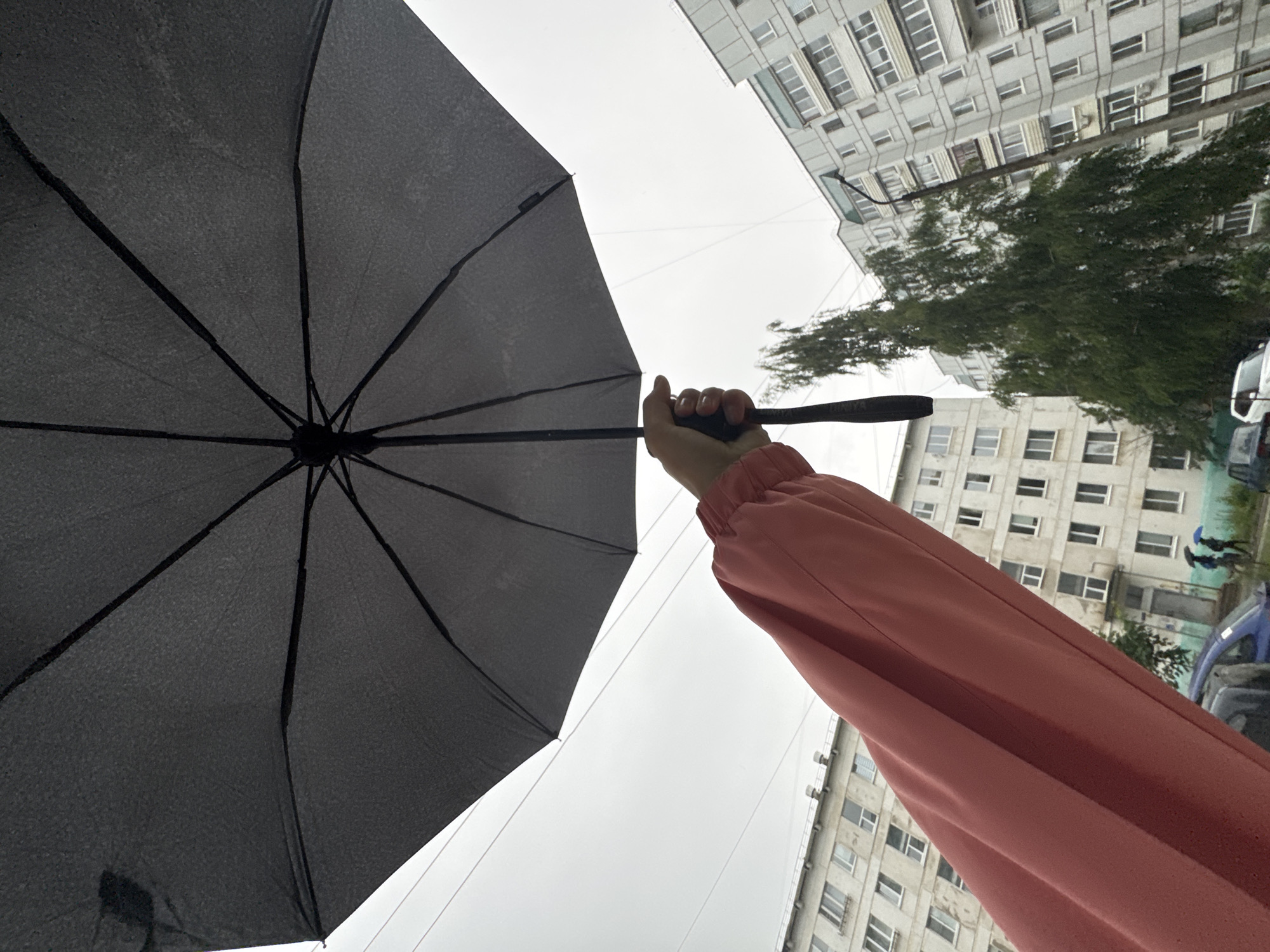 An individual's arm, clad in a coral-colored sleeve, extends upwards holding a black umbrella. The umbrella's interior is visible, revealing its ribbed structure against a cloudy sky. In the background, multi-story apartment buildings, characteristic of Chaikovsky, Russia, line the street. A tall, leafy tree stands between two of the buildings. The overall scene suggests a rainy or overcast day in a residential area of the city. Two figures with umbrellas are visible walking on the street in the distance.