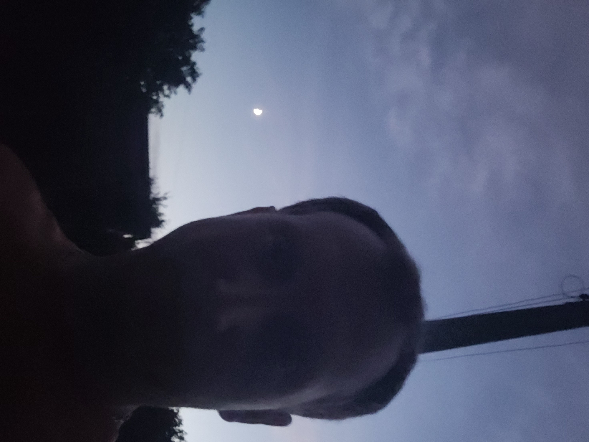A person is visible in the foreground, silhouetted against a dusky sky. A sliver of the moon is visible to the left of the person's head. A dark pole, possibly a utility pole, extends vertically in the upper right portion of the image. The background shows a dark silhouette of trees and possibly a building. The overall scene suggests an outdoor setting at twilight.