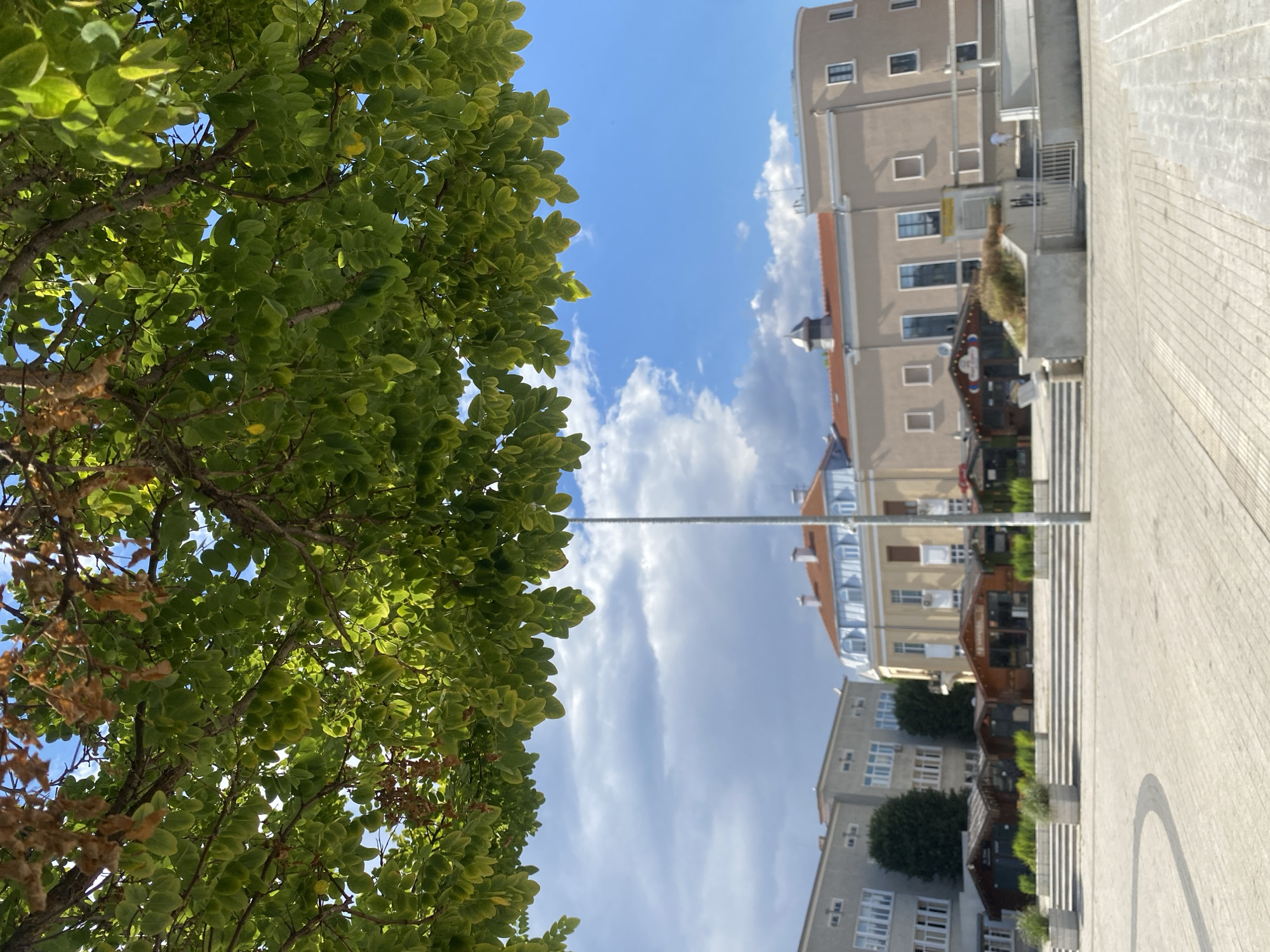 The image depicts a view looking up through the branches of a tree with green and brown leaves. In the background, a bright blue sky with scattered white and grey clouds can be seen. Below the sky, several buildings are visible. The most prominent building in the center is a light-colored structure with an orange-tiled roof, featuring arched windows on its upper level and a circular section on the right. To the left of this building, there is a gray, multi-story building with numerous windows. In front of these buildings, there are several small, wooden kiosk-like structures with pitched roofs. The foreground shows a paved plaza made of light-colored interlocking stones, with some curved lines of a darker color. A vertical pole is also visible in the mid-ground. The scene is located in the city of Burgas, Bulgaria.