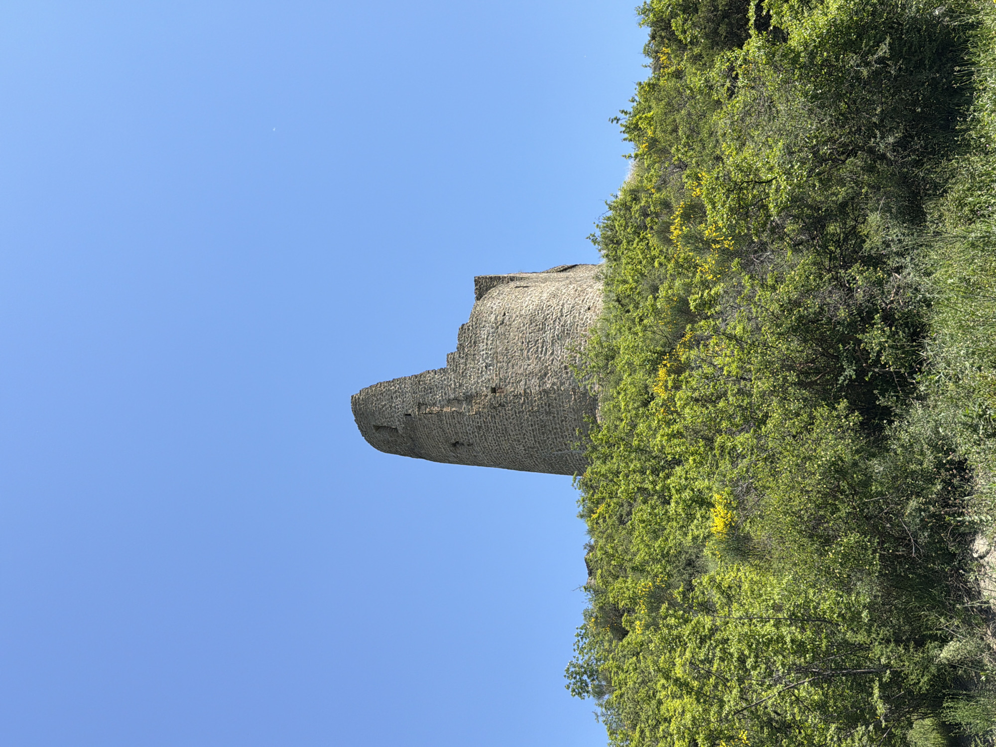 A sideways shot features an ancient stone structure, likely a ruined tower, abutting a hill thickly overgrown with vegetation and set against a clear blue sky. The tower, made of irregular stone blocks, has a worn appearance, and a portion of its top section is missing. Abundant green foliage, interspersed with some yellow flowering plants, covers the hill. The image gives a ground-level perspective looking upwards. The tower is part of the Armaztsikhe Fortress, located near Mtskheta, Georgia.
