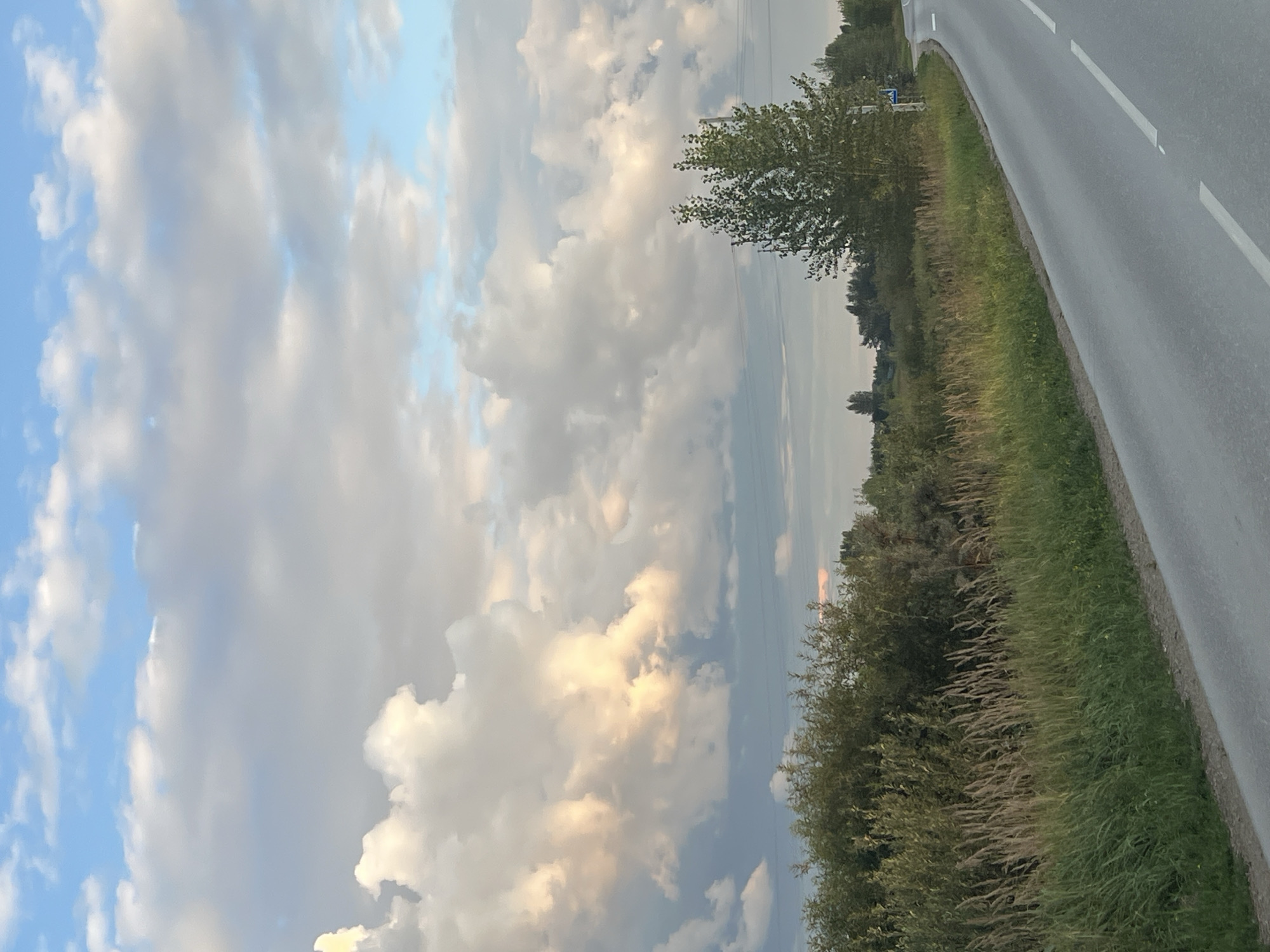An overcast sky with scattered clouds dominates the upper half of the image. Below the sky, a lush green field borders a paved road that curves towards the right. Tall, dry grasses grow along the edge of the field. In the background, a dense line of trees forms a dark green backdrop. A single, mature tree with full foliage stands prominently on the right side of the road, with a blue and white road sign visible near its base. The overall scene suggests a rural setting, possibly on the outskirts of Mochishche, Russia, given the characteristic landscape.