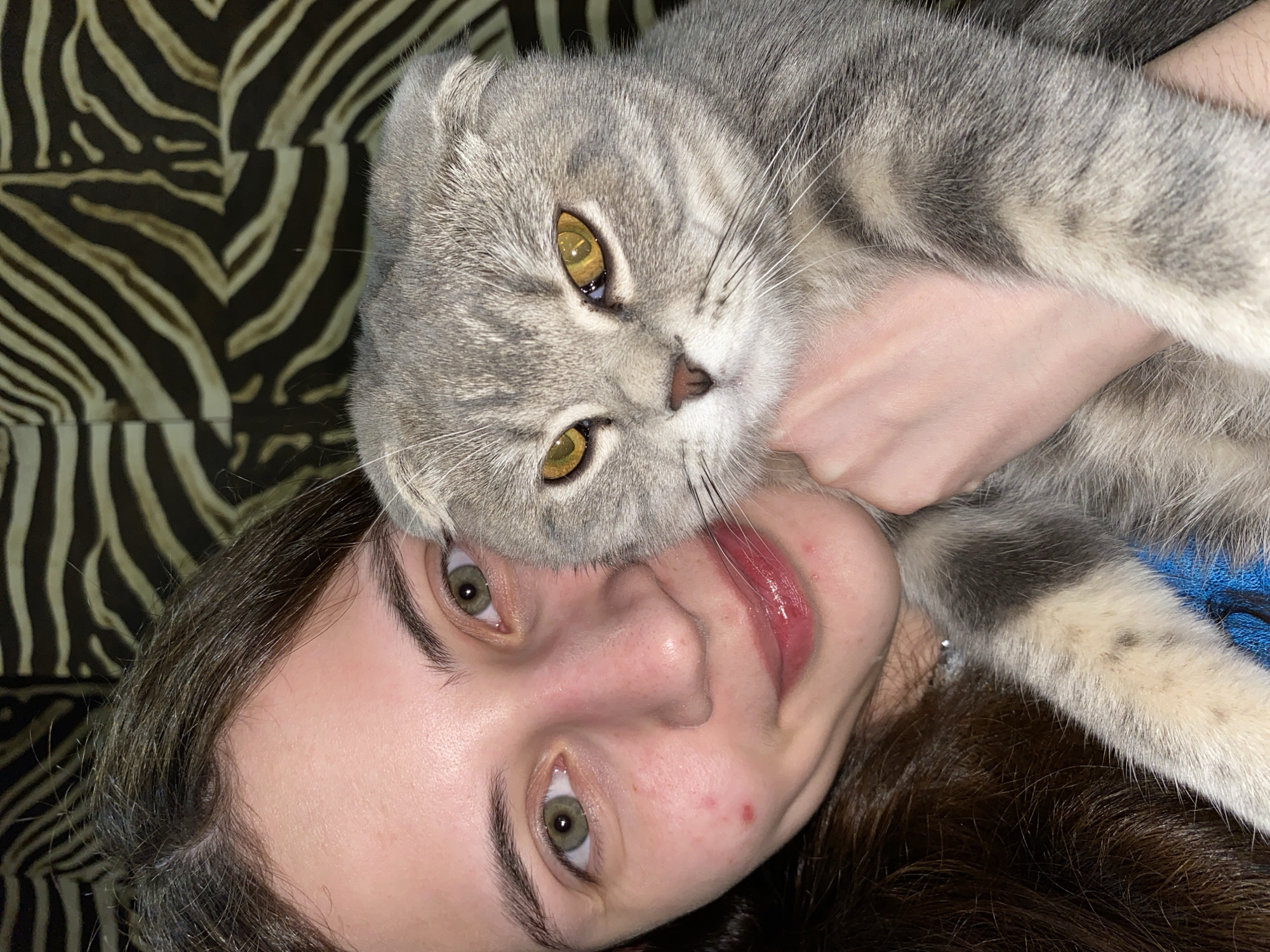 A close-up portrait shows a young woman embracing a cat in an indoor setting in Votkinsk, Russia. The image is oriented diagonally, with the woman's face occupying the lower portion and the cat's head positioned above and slightly to the left of her face.
The woman has fair skin, dark hair, and bright green eyes, which are directed towards the viewer. Her lips are a glossy pink, and there are a few small blemishes visible on her cheek. She has a subtle, soft smile.
The cat is a grey tabby Scottish Fold, recognizable by its distinctive folded ears. It has striking golden-yellow eyes and a small brown nose. Its fur shows varying shades of grey and white in a tabby pattern. The cat's head rests against the woman's face, and its gaze is also directed towards the camera, conveying a calm and content demeanor. One of the cat's paws or legs is draped over the woman's arm, visible on the right side of the frame.
The background features a dark fabric with a prominent, abstract pattern of light brown and black stripes, resembling zebra print, likely part of furniture upholstery or bedding. The lighting is soft and even, suggesting an indoor environment. The scene captures a moment of affection and close companionship between the woman and her cat. No text is visible in the image.