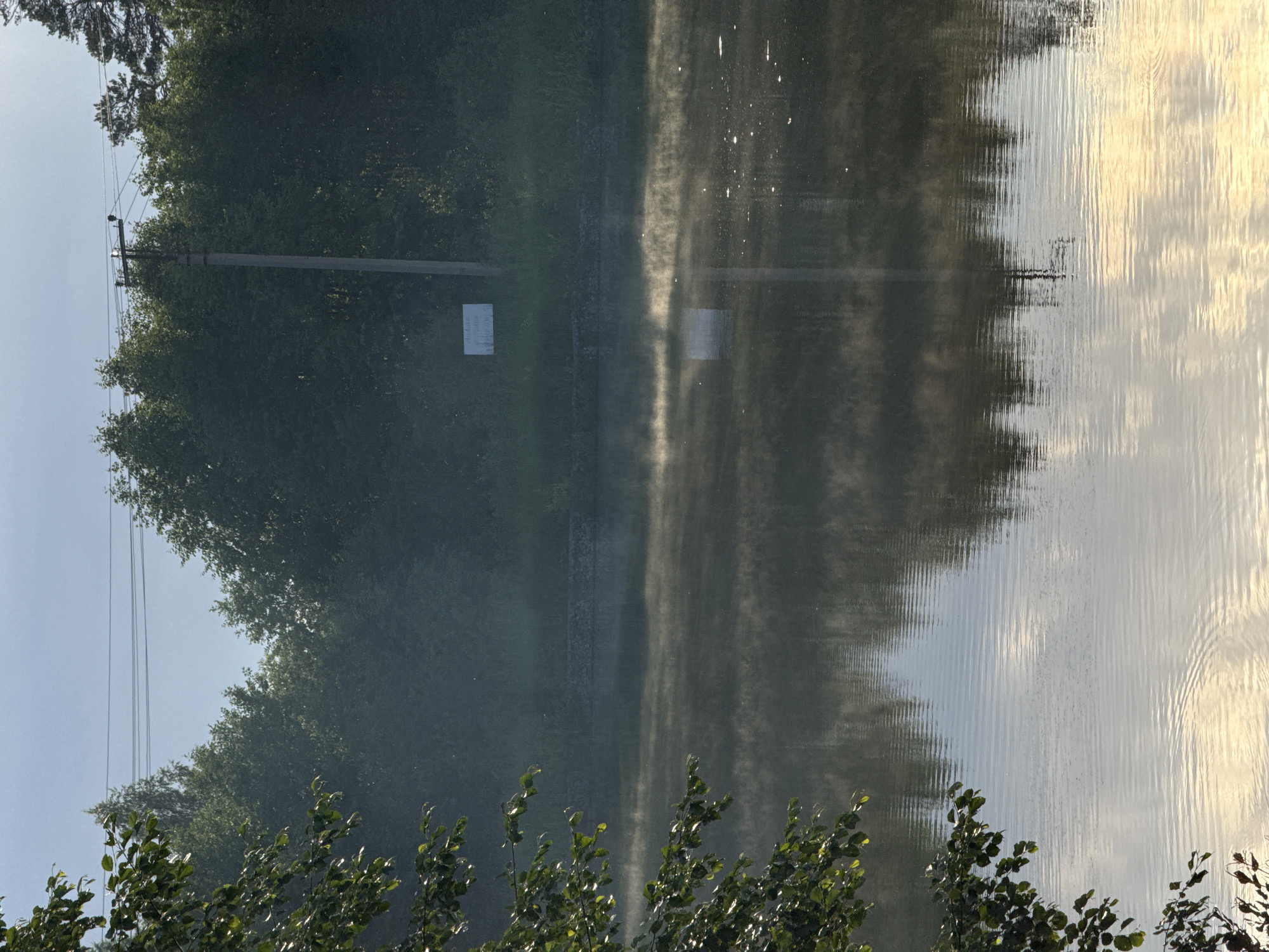 The image shows a serene lake on a misty morning, likely located in Votkinsk, Russia, given the context. The foreground is dominated by the calm surface of the water, reflecting the trees and sky. A branch of a tree with green leaves is visible in the upper left corner, catching the sunlight.
Across the lake, a dense line of dark green trees forms the background, with a visible power line stretching horizontally across the sky above them. A tall, slender utility pole stands prominently in the middle ground, slightly off-center, with insulators and wires. On the grassy bank behind the pole, a white rectangular sign is affixed. A thin layer of mist hovers just above the water's surface, adding an ethereal quality to the scene. The water is disturbed by gentle ripples, suggesting a quiet environment. The overall impression is one of natural tranquility and early morning light.