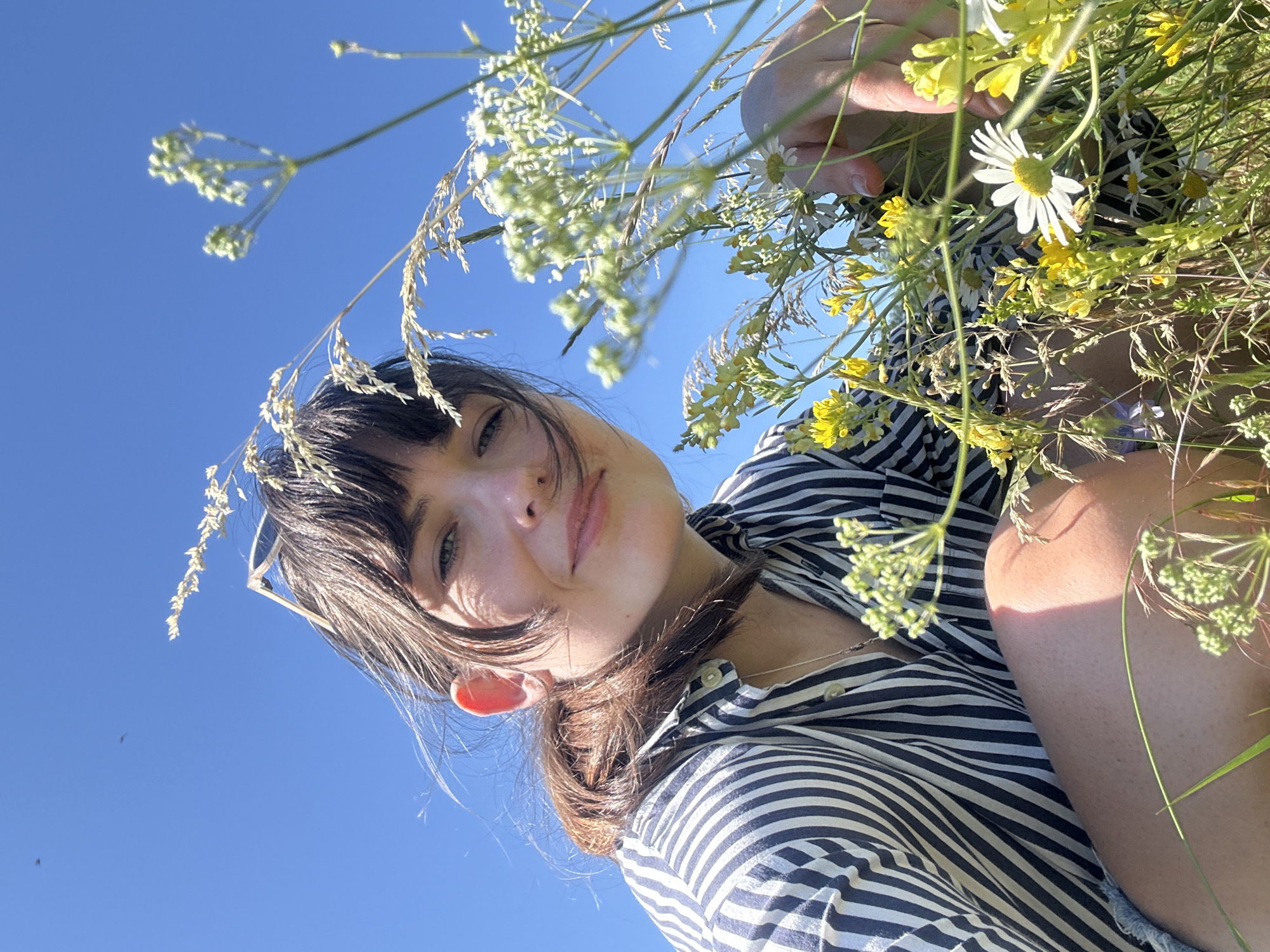 A low-angle, medium shot captures a woman in a field of wildflowers under a bright blue sky. The woman, with dark hair pulled back and bangs framing her face, looks directly at the camera with a slight smile. She is wearing a black and white striped button-down shirt and appears to be kneeling or crouching amidst the foliage. Her right hand is visible, gently touching some of the wildflowers, which include yellow blossoms and white daisies. The background is a clear, cloudless blue sky, with a few small dark specks that could be birds or insects visible in the upper left quadrant. The lighting suggests it is daytime, likely midday or early afternoon, casting shadows on the woman's face and leg. The overall impression is a serene moment in nature. The location is identified as Krasnyi Yar, Russia.