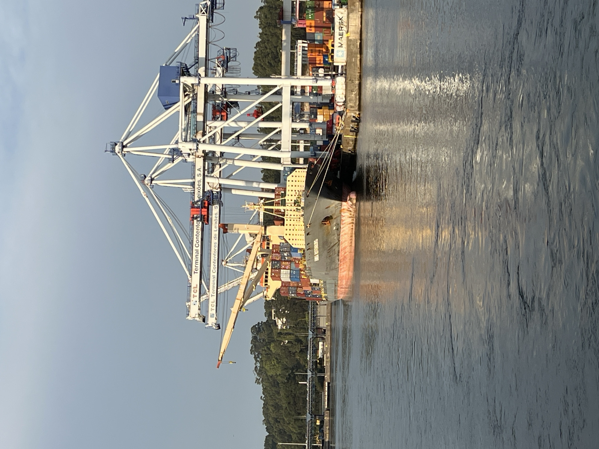 The image depicts a large cargo ship docked at a port, likely in Matosinhos, Portugal, given the prominent "TCL Terminal Contenores de Leixões, S.A." signage on the cranes. Several large, white gantry cranes with blue and red accents are positioned over the ship and the adjacent dock, indicating active cargo operations. The ship itself is laden with numerous shipping containers of various colors. The port area features rows of stacked containers and a concrete dock. In the background, a dense green, tree-covered hillside rises, and a bridge with cars can be seen in the distance. The water in the foreground is calm, reflecting the sky and surrounding structures. The sky is clear and blue with some wispy clouds.