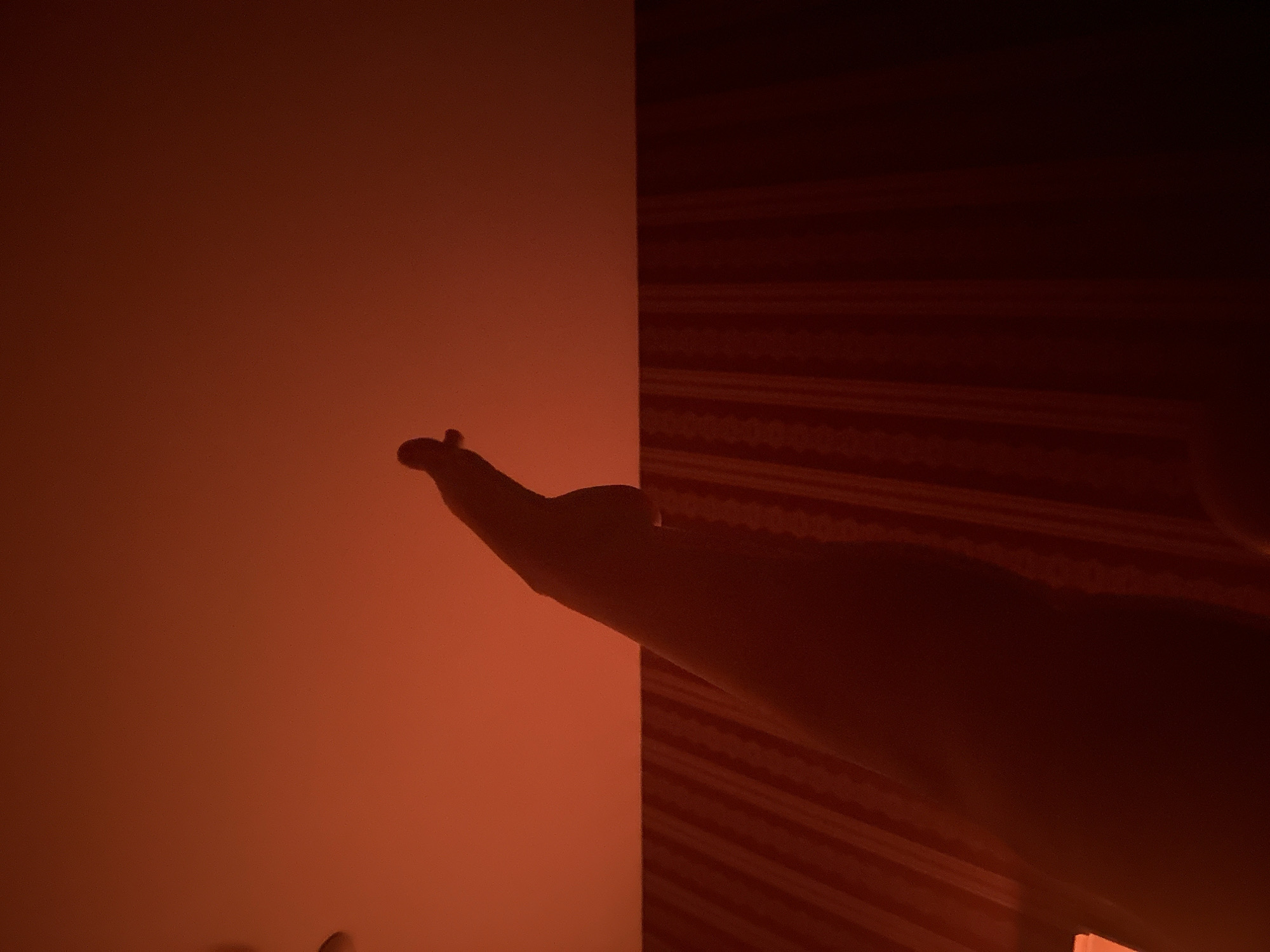 The image appears to be taken indoors. The scene is split into two distinct areas. On the left, there is a solid reddish-orange wall. On the right, the scene is darker, with reddish-brown patterned wallpaper or fabric. An arm is visible, extending from the right towards the left, casting a shadow on the reddish-orange wall. The lighting in the image is low, making details difficult to discern. There is no information to suggest this image was taken in Esenyurt, Turkey.