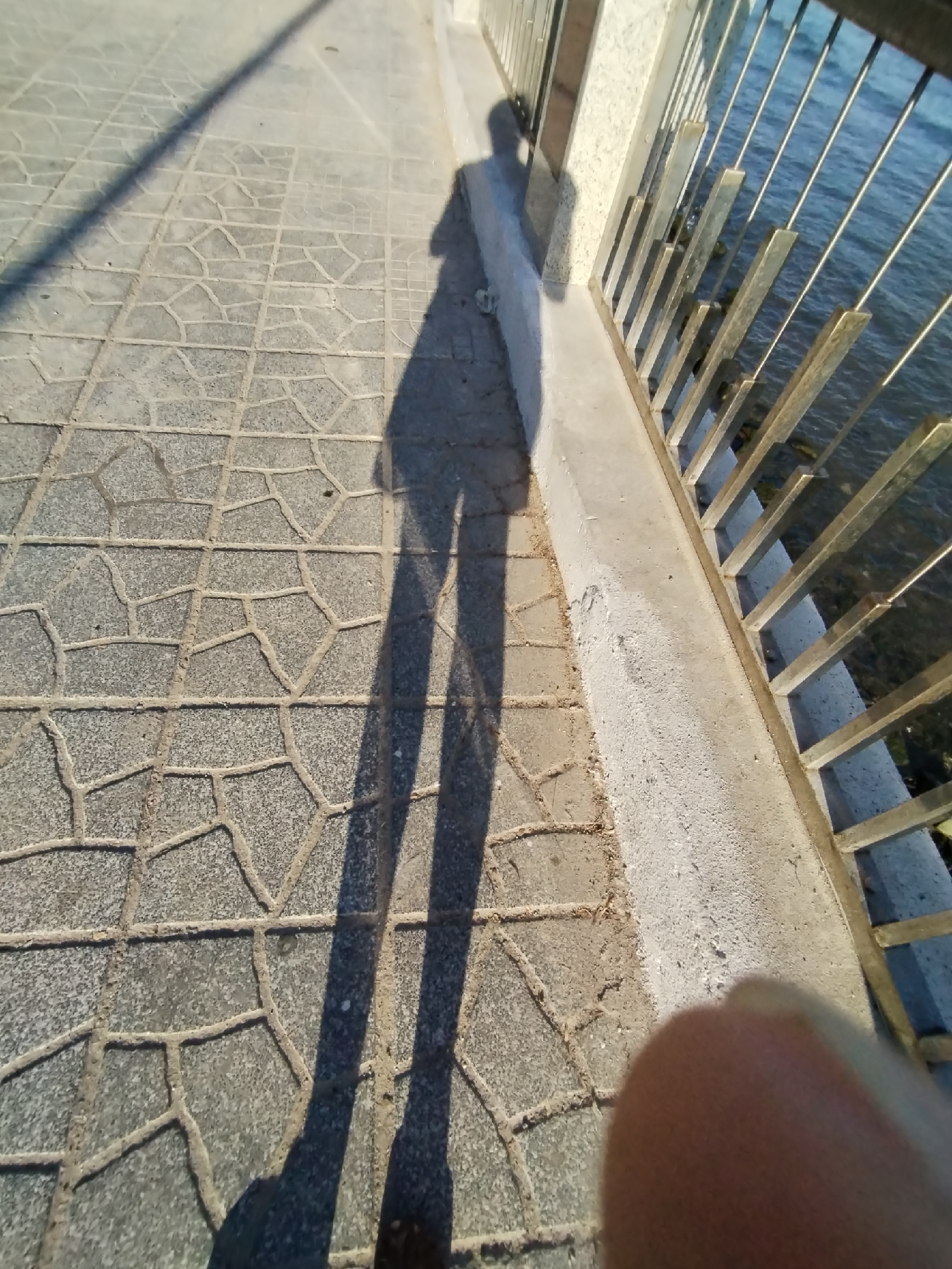 The image shows a sidewalk with a railing alongside a body of water, potentially a sea or bay. The sidewalk is made of tessellated pavers. A shadow of a person is cast on the sidewalk. The railing is metal, with vertical bars. A blurry object, possibly a finger or thumb, is in the lower right corner of the image. The location may be near the sea or bay in Bac Nha Trang Ward, Vietnam. The scene is photographed from a low angle. The presence of the railing and water suggests a promenade or walkway along the coast.