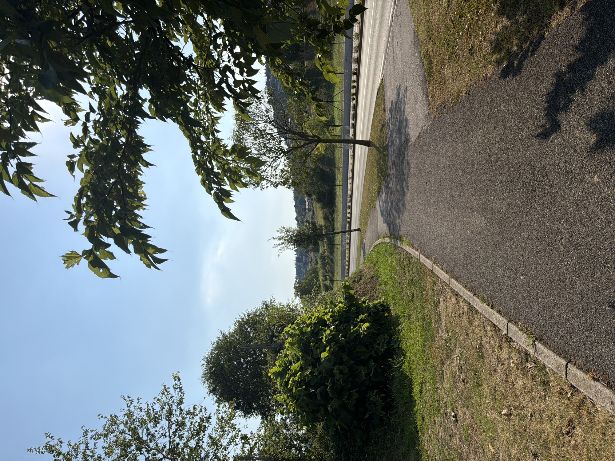 A paved walkway curves to the left alongside a grassy area with dry patches and some green growth. Beyond the walkway is a road with a white center line, bordered by a metal fence and more green areas with scattered trees. In the distance, buildings and trees are visible on a hillside under a clear blue sky. Lush green trees with dark leaves overhang the top of the frame, casting shadows on the walkway. The scene appears to be an outdoor public space, possibly a park or a path in a suburban or rural area. The lighting suggests it is daytime, with the sun high in the sky. This scene could be located in or around Padenghe sul Garda, Italy, given the Mediterranean vegetation and hilly landscape.