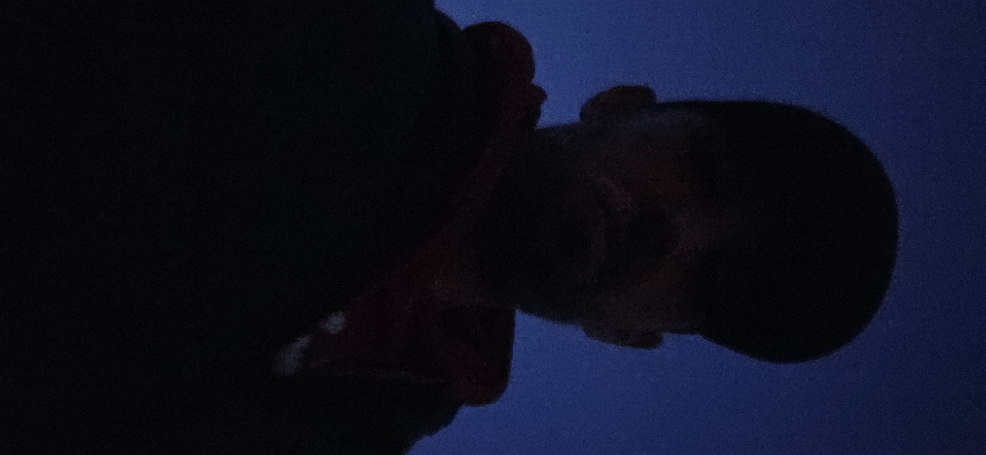 The image displays a person captured from a low-angle perspective, predominantly in silhouette against a dark blue background. The individual's head and upper torso are visible, with the head positioned towards the upper right of the frame, tilted downwards or viewed from below. Although most of the face is obscured by deep shadow, faint outlines of a nose, mouth, and chin can be discerned. The person appears to be wearing dark clothing, which blends into the shadow.
The background is a uniform, deep, dark blue, suggesting either a featureless surface like a wall or fabric, or possibly a night or deep twilight sky. The lighting conditions are extremely low, creating a dramatic contrast between the dark figure and the dark blue setting. No specific activity, emotions, or identifiable objects are visible, nor is any text present. The scene conveys a sense of stillness or observation in very dim light, with the location context being South Norfolk, United Kingdom.