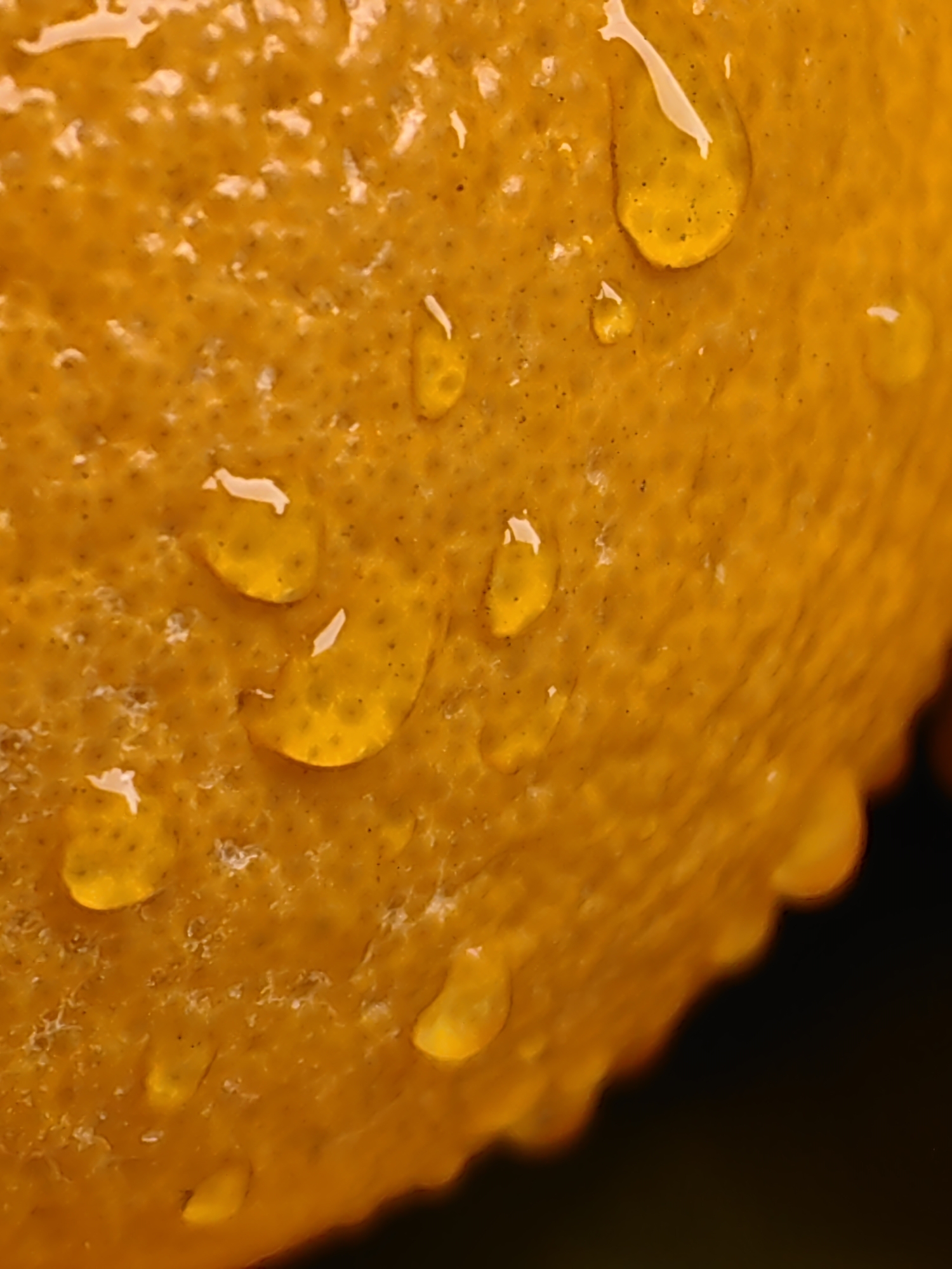 The image is a close-up, macro shot of an orange peel covered in water droplets. The peel has a textured surface with numerous small pits, characteristic of citrus fruit. The water droplets, varying in size, are scattered across the peel, reflecting light and appearing as translucent or semi-transparent spheres and elongated shapes. Some droplets show internal refractions of light. The color of the peel is a vibrant orange, with subtle variations in shade due to the texture and the way light interacts with the water. The background is dark and out of focus, emphasizing the subject. There are no people, structures, or elements of the city of Vashisht, India visible in this image; it focuses solely on the surface details of the fruit.