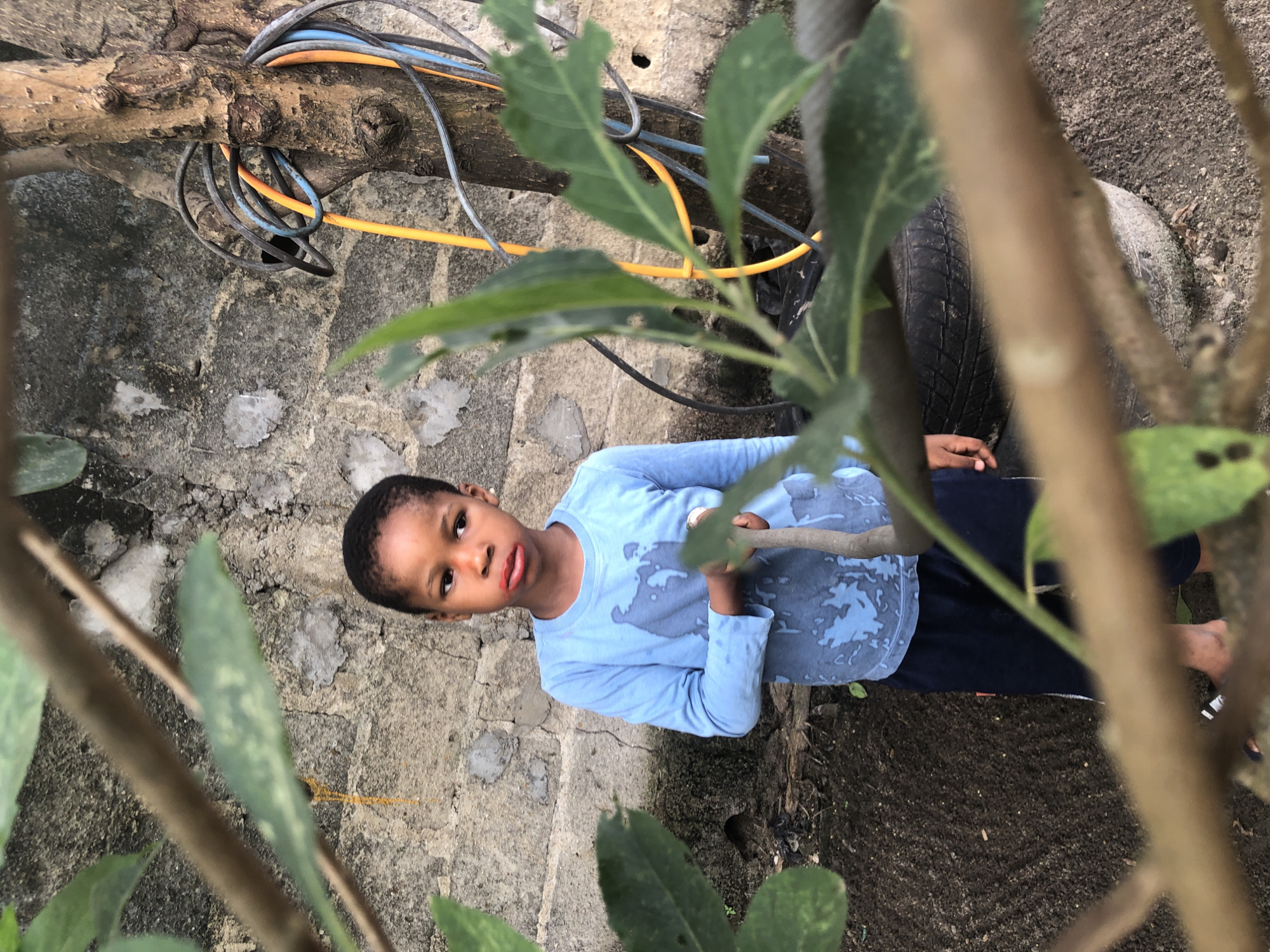 A young child, with dark skin and short black hair, stands in an outdoor area. The child is wearing a light blue long-sleeved shirt with a faded, abstract blue design and dark blue shorts. Their lips are visibly red, suggesting makeup or a similar application. The child is holding a light-colored, rough-textured stick in their right hand.
The background consists of a rough, concrete block wall. To the right of the child, a tree trunk is visible, with several electrical cords and hoses wrapped around it in yellow, orange, blue, and black. Some of these appear to be connected to a power source further up the tree. The ground around the child is dark soil, with some debris, including what appears to be a discarded tire.
The scene is framed by out-of-focus tree branches and green leaves in the foreground. The overall impression is that of an outdoor yard or a less-maintained area within a residential setting in Ado, Nigeria. The lighting suggests it is daytime, possibly overcast, with soft shadows.