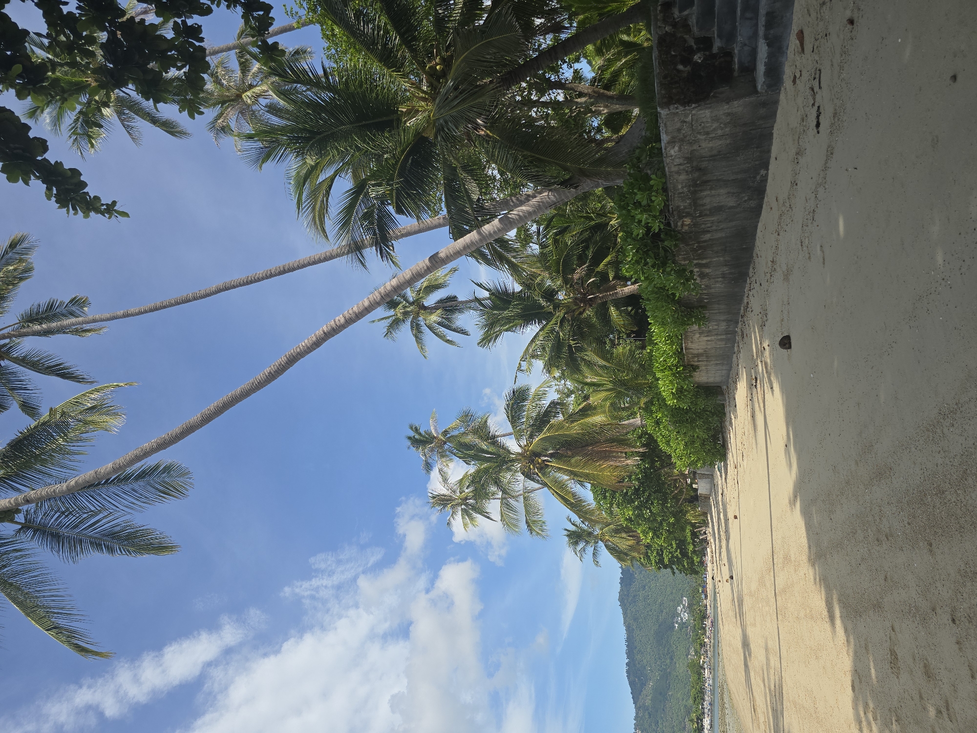 The image depicts a sandy beach in Baan Chaweng Noi, Thailand, with a clear blue sky and scattered white clouds. Numerous palm trees line the shore, with their fronds extending towards the sky. A concrete wall separates the beach from lush green vegetation and more palm trees further inland. In the distance, a verdant hillside is visible, dotted with buildings. The sand is light brown and appears undisturbed, with shadows cast by the palm trees creating a dappled effect. A single coconut is visible on the sand. To the right of the image, a set of concrete stairs leads up from the beach. No people are present in the scene.