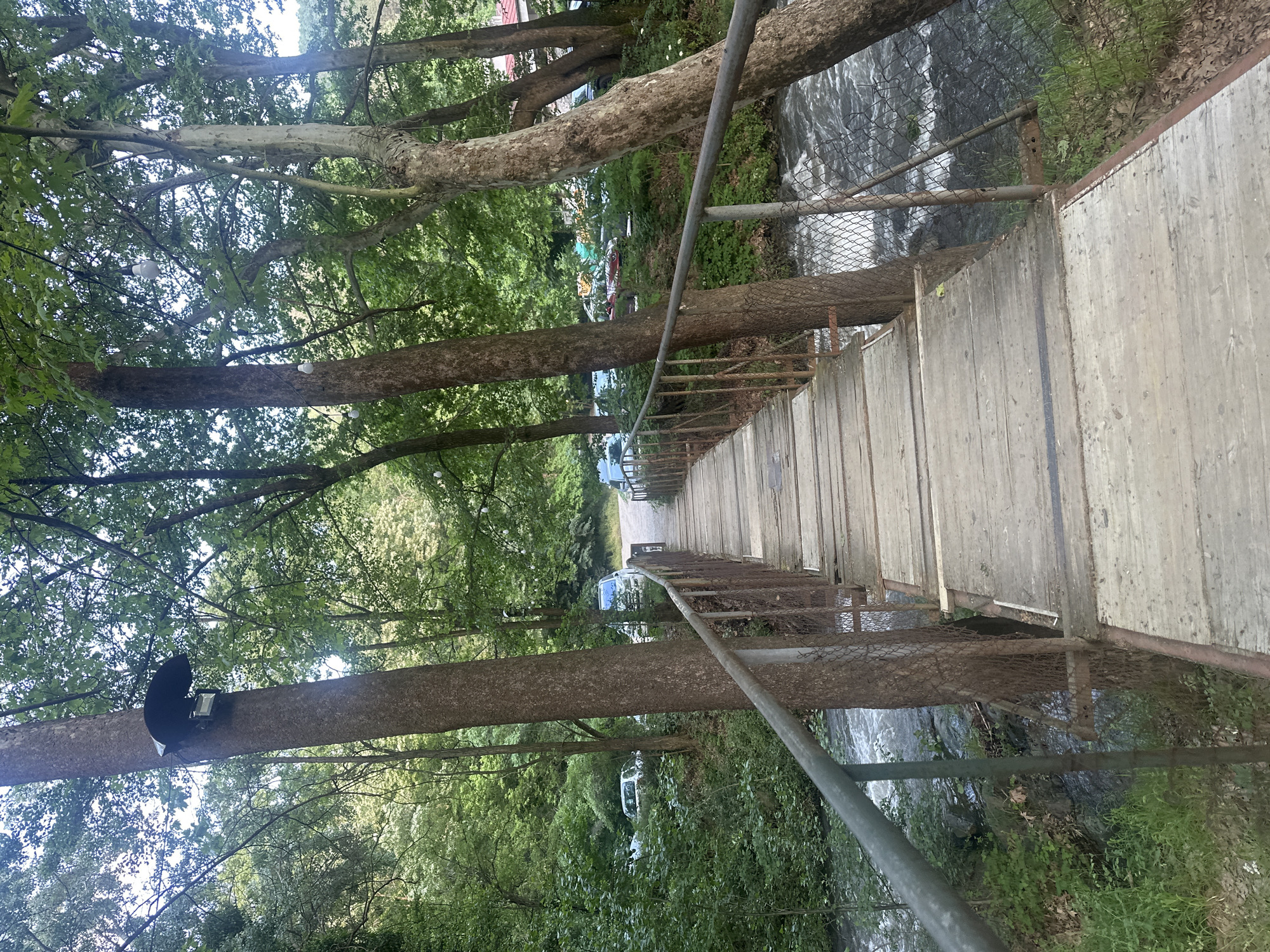 The image depicts a pedestrian bridge in Parvenets, Bulgaria, viewed from an elevated perspective. The bridge is constructed of wooden planks and has metal railings on both sides. A stream or river flows beneath the bridge. The surrounding environment includes trees and vegetation, creating a wooded area. A black light fixture is affixed to a tree on the left side of the image. In the distance, cars and possibly other structures are visible. The overall scene is a natural landscape with man-made elements, showing the intersection of nature and human infrastructure.