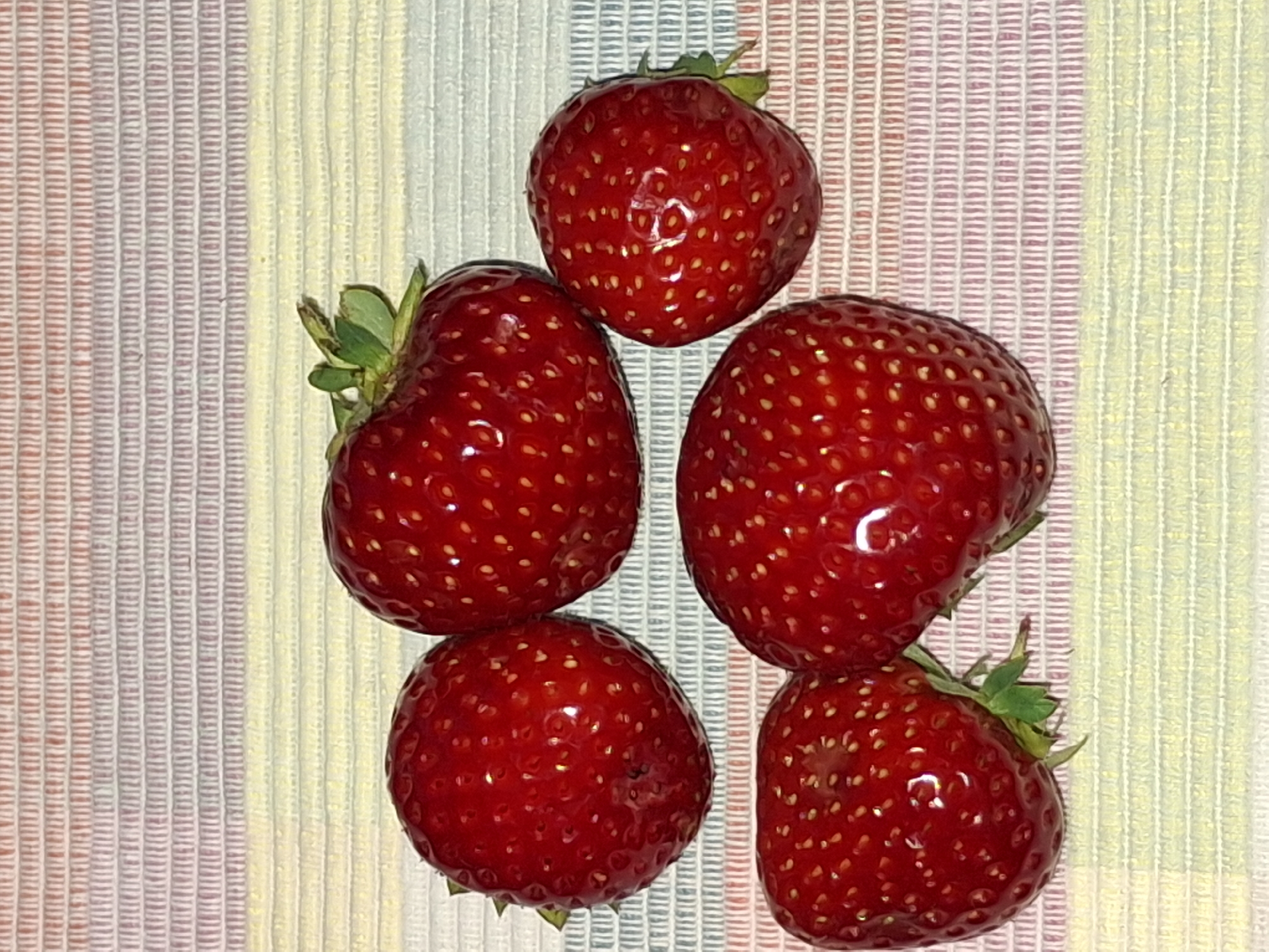 Five ripe strawberries are arranged on a striped cloth. The cloth has horizontal bands of pale yellow and thin red and white stripes. The strawberries are a vibrant red, with visible seeds. Two strawberries are on the bottom row, with one on the left and one on the right. Three strawberries are on the top row, with one on the left, one in the center, and one on the right. The center strawberry in the top row is slightly larger and has a small green stem with leaves. The overall scene is a still life. The image does not contain any identifiable landmarks or elements that would allow for specific location attribution to Åsgårdstrand, Norway.