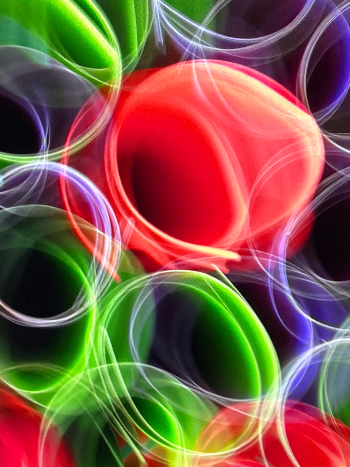 The image is an abstract, digitally created artwork that features bright, swirling shapes in shades of red, green, and purple, intertwined with thin, luminous white lines. The overall impression is one of dynamic movement and vibrant color. There is no discernible location in the city of Kafr Yasif, Israel, nor any identifiable people, objects, actions, or interactions. The image is purely artistic and lacks any contextual or representational elements of a real-world scene.