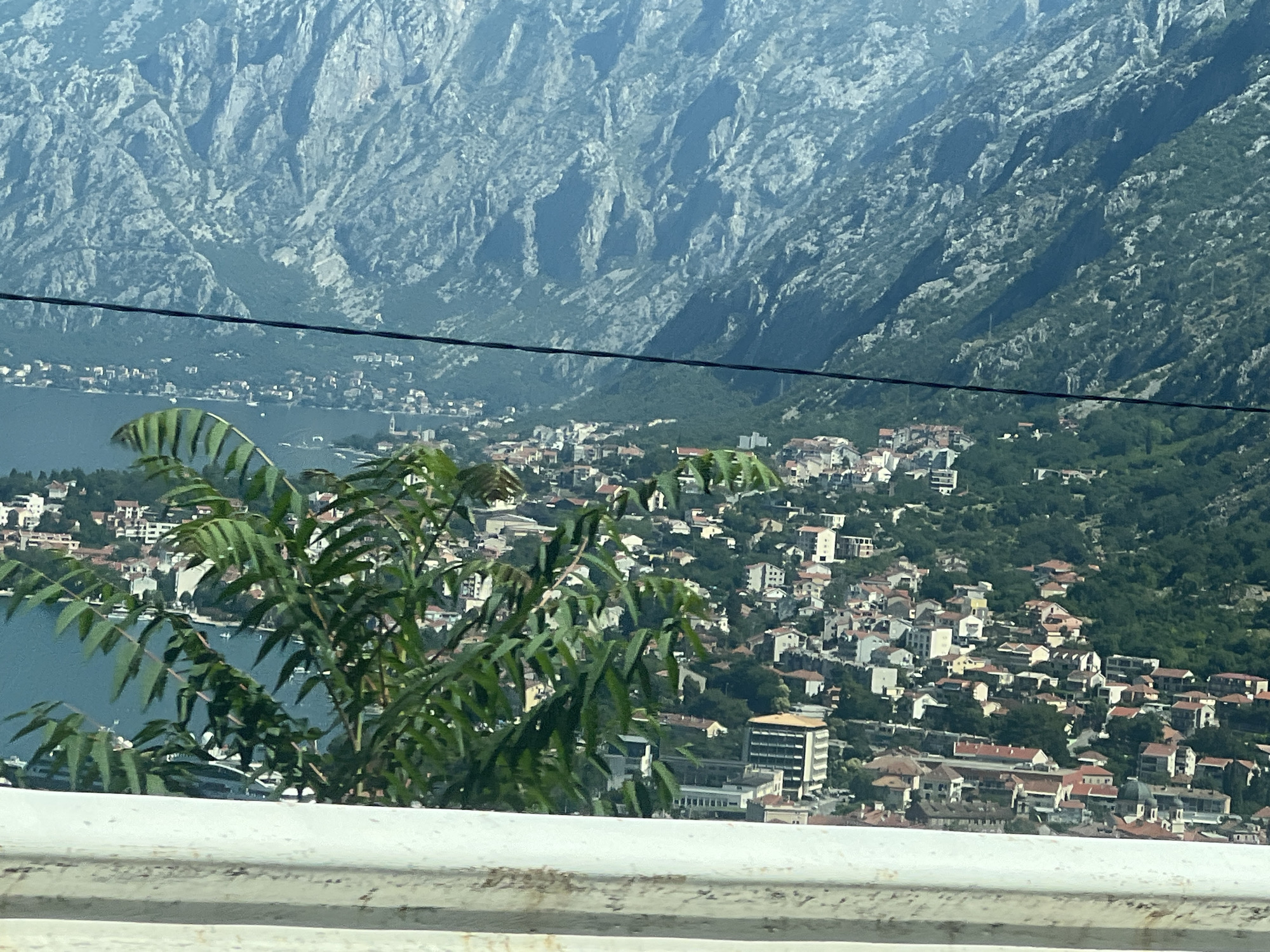 A high-angle shot captures the city of Škaljari, Montenegro, nestled at the base of imposing, rocky mountains. The city, characterized by its densely packed buildings with terracotta roofs and white facades, spills down the hillsides towards a calm, blue body of water. Lush green trees and vegetation are interspersed throughout the urban landscape and climb the lower slopes of the mountains. In the foreground, a white concrete barrier runs horizontally across the bottom of the frame, and a leafy green plant with feathery fronds partially obscures the view of the city and water. A thin black wire stretches across the middle ground of the image, dividing the mountain and city views. The overall scene is bright and sunlit, with a hazy quality suggesting a warm, distant view.