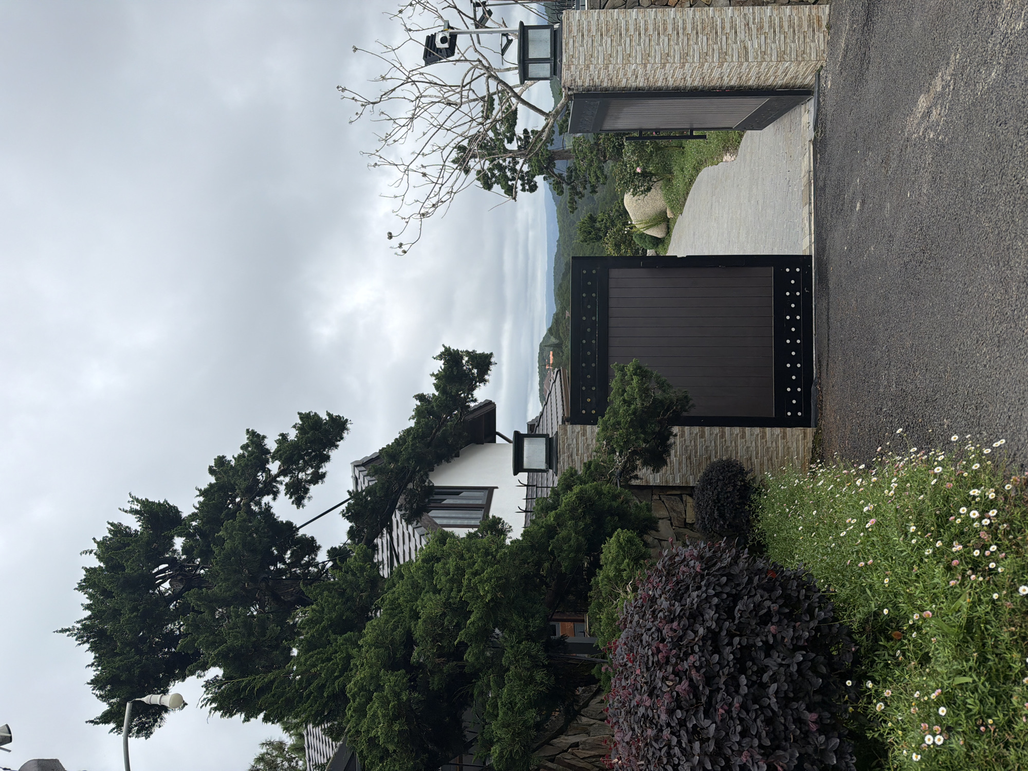 The image depicts a wide, paved driveway leading to an open, dark brown wooden gate with decorative white circles. The gate is flanked by stone pillars, one of which has a light fixture and a security camera. To the left of the gate, a multi-story white building with a dark tiled roof is partially visible, nestled among lush green trees, including a large, mature conifer. A dark red, bushy plant and a patch of small white flowers are in the foreground on the left. The background reveals a hilly landscape with more trees and mountains under a cloudy sky. The scene suggests a private residence or a property with a scenic view in the outskirts of Da Lat, Vietnam. There are no people or discernible actions captured in the image.