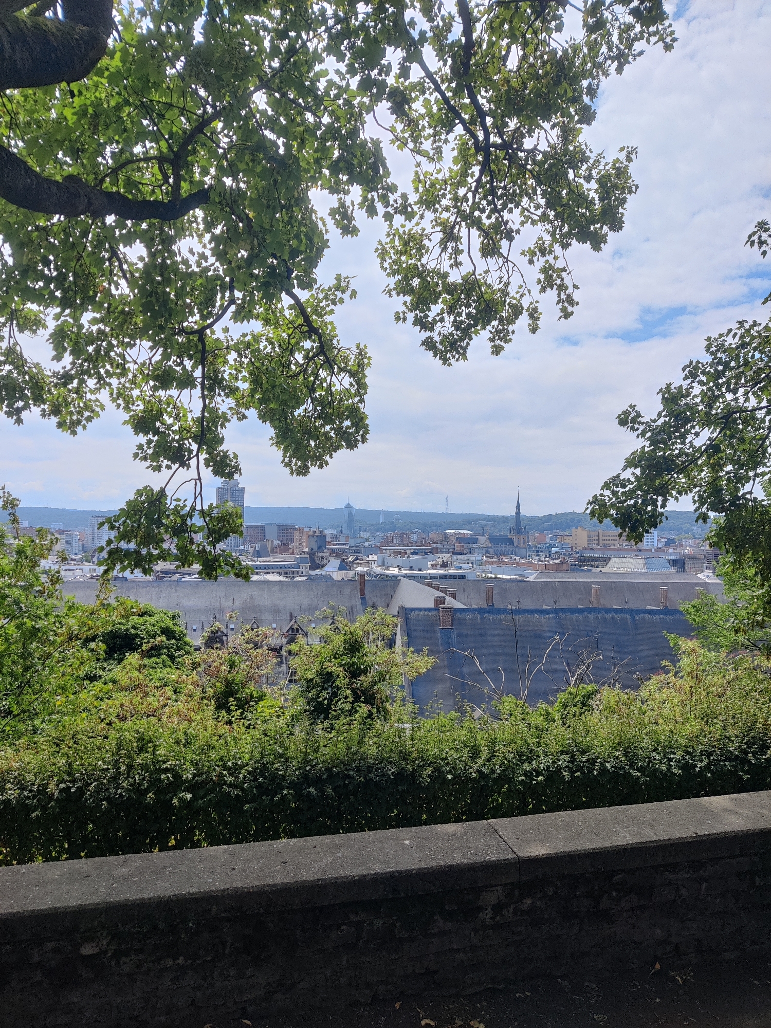 This image depicts a view of the city of Liège, Belgium, from a higher vantage point, likely Montagne de Bueren, looking towards the city center. In the foreground, a dark stone wall runs horizontally across the bottom of the frame, with dense green foliage and trees obscuring the lower portions of the cityscape. The middle ground is dominated by the rooftops of older buildings, characterized by dark slate or tile roofs and chimneys. Beyond these rooftops, the city sprawls out, showcasing a mix of architectural styles. Several taller modern buildings are visible, including what appears to be a prominent high-rise structure. A church spire, indicative of a significant religious building, pierces the skyline towards the right side of the image. The background shows a hazy, expansive view of the city extending towards distant hills under a cloudy sky with patches of blue. The overall scene is one of an urban landscape seen through a natural frame of trees and foliage, suggesting a park or elevated viewpoint. There are no people visible in the image.