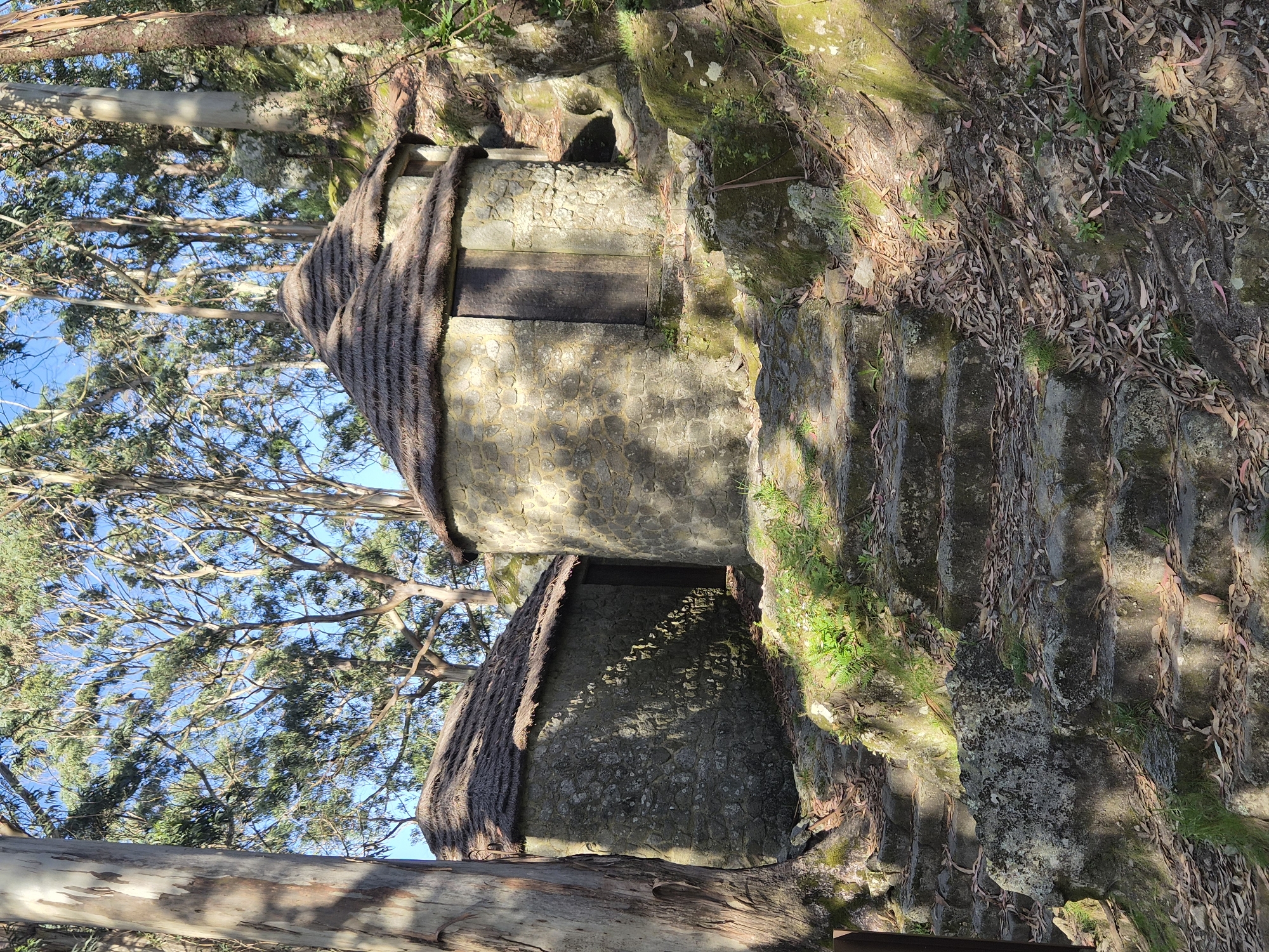 The image depicts two traditional stone granaries, known as "espigueiros," found in Esposende, Portugal. These structures are elevated on stone pillars and feature thatched roofs. One of the espigueiros has a wooden door. The granaries are nestled within a wooded area with tall trees surrounding them. Stone steps lead up to the granaries. Vegetation, including grass and moss, grows on the surrounding rocks and steps.