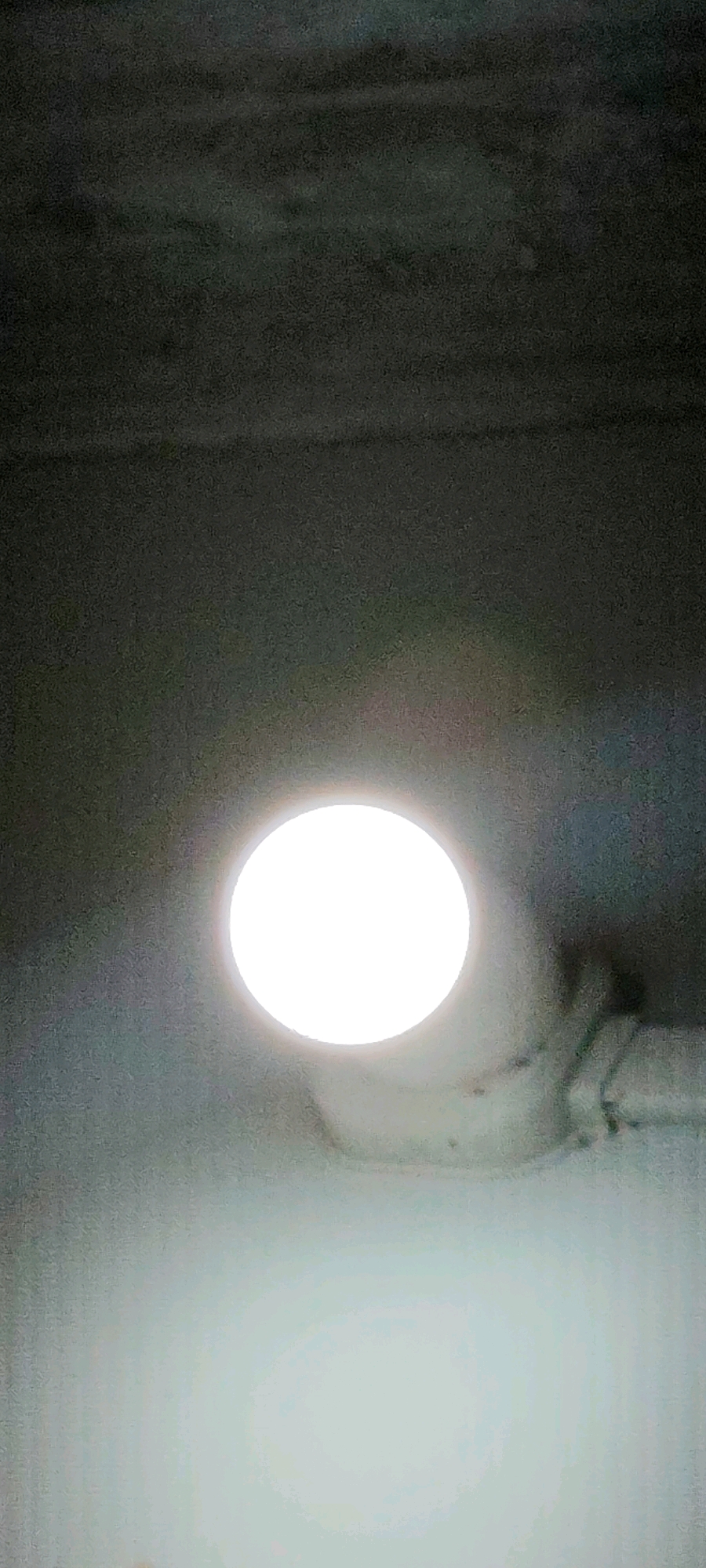 A ceiling light fixture is illuminated, casting a bright white glow downwards. The fixture appears to be circular and is positioned centrally in the frame. The ceiling itself is a dark, textured surface, possibly concrete or a similar material. The light reflects off a lower surface, creating a diffused white area at the bottom of the image. The overall lighting is dim, with the exception of the direct illumination from the light fixture. The scene appears to be indoors, likely a room with a high ceiling. There is no indication of the location being in the city of Belagavi, India.