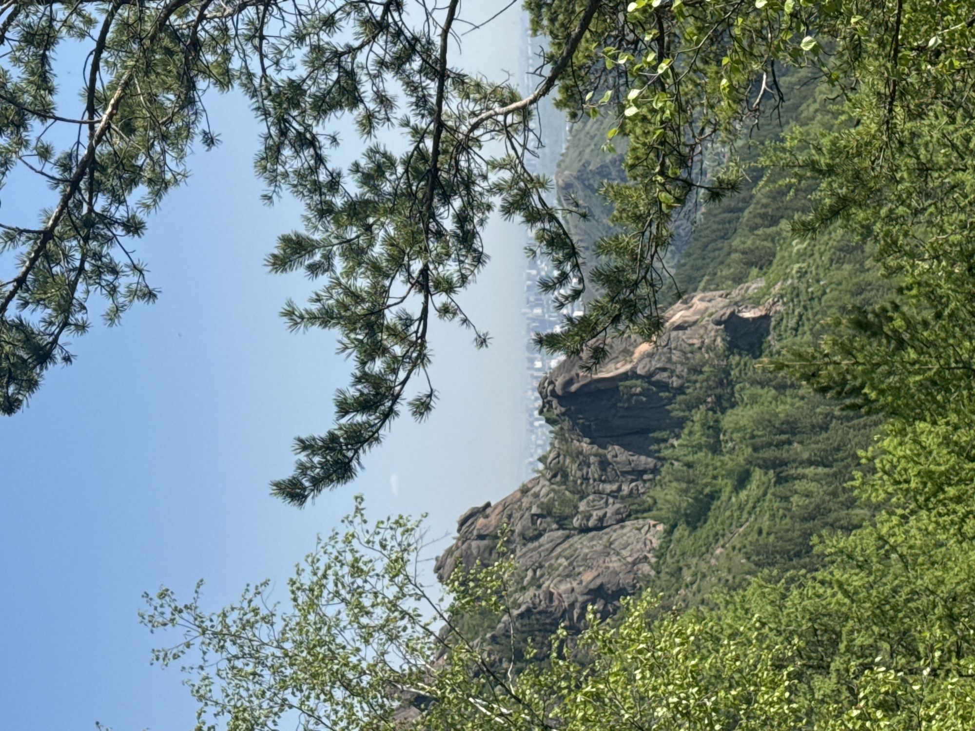 The image shows a mountainside view in Krasnoyarsk, Russia. In the background, the city is visible through a hazy atmosphere. A rocky cliff formation is partially covered by trees. Tree branches frame the scene in the foreground, partially obscuring the view. The sky is blue.