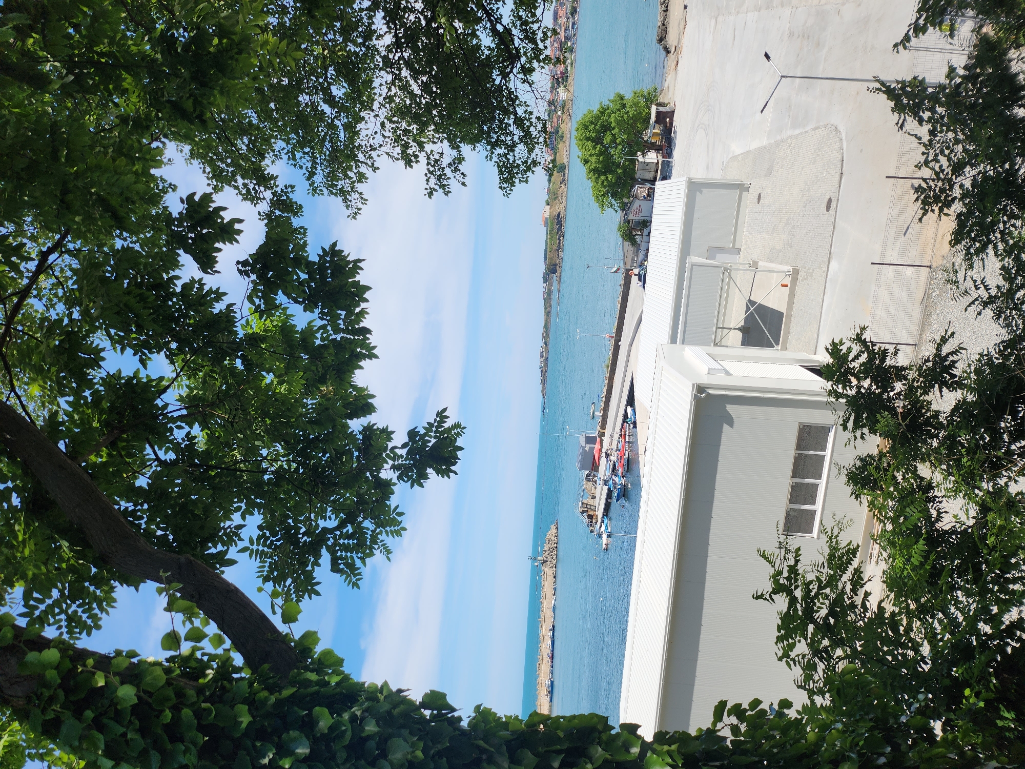 The image shows a coastal scene in Tsarevo, Bulgaria, framed by lush green foliage in the foreground. The view overlooks a blue sea with several boats docked at a pier. Beyond the pier, a long breakwater extends into the sea, with a lighthouse visible at its end.
The setting appears to be a sunny day, with clear blue skies and a few wispy clouds. The water is calm, suggesting good weather conditions suitable for boating. Along the coastline, there are buildings and structures, including a modern, light-colored building with large windows visible on the right side of the frame. In the distance, the town of Tsarevo can be seen with its characteristic buildings.
There are no people prominently visible in the image, but the presence of docked boats and the pier suggests activity related to maritime operations or leisure. The overall atmosphere is serene and picturesque, capturing a tranquil moment by the sea. The time of day is likely daytime, given the bright sunlight casting shadows. There is no visible text in the image.