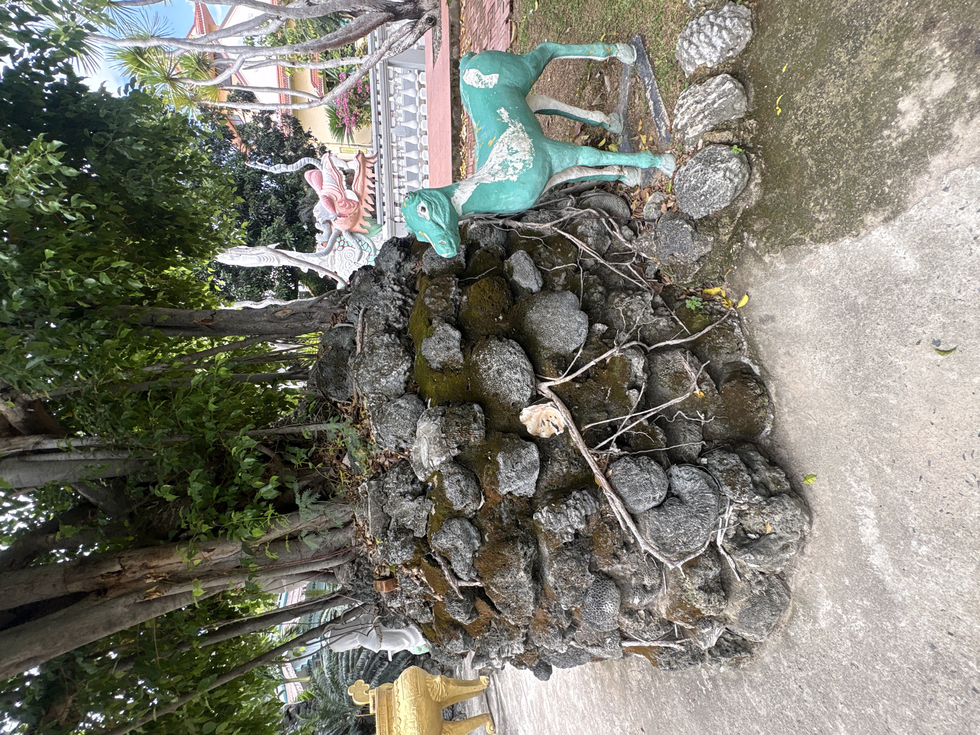 This outdoor image captures a vibrant scene, likely within a garden or temple grounds in Cam Ranh, Vietnam. In the midground and foreground, a rugged, dark rock formation, covered with patches of green moss and intertwined with bare branches and vines, serves as a central feature.
Perched atop this rock formation on the right side is a teal-green statue of a recumbent animal, possibly a deer or a mythical creature, with some of its paint visibly peeling. To the left and slightly behind this statue, a more elaborate and colorful statue of a dragon-like creature, featuring pink, white, and red accents, is partially visible. Further to the left, another golden animal statue, possibly a deer or a dog, is glimpsed at the bottom of the frame.
The left side of the image is dominated by the dense, green foliage and thick trunks of large trees, suggesting a lush environment. In the background, traditional buildings with white and light yellow-orange facades, adorned with ornate white railings and surrounded by palm trees and other greenery, are visible under a bright, clear sky. The ground consists of a concrete path bordering the rock formation. The scene is illuminated by bright daylight, indicating clear weather. No people or visible text are present.