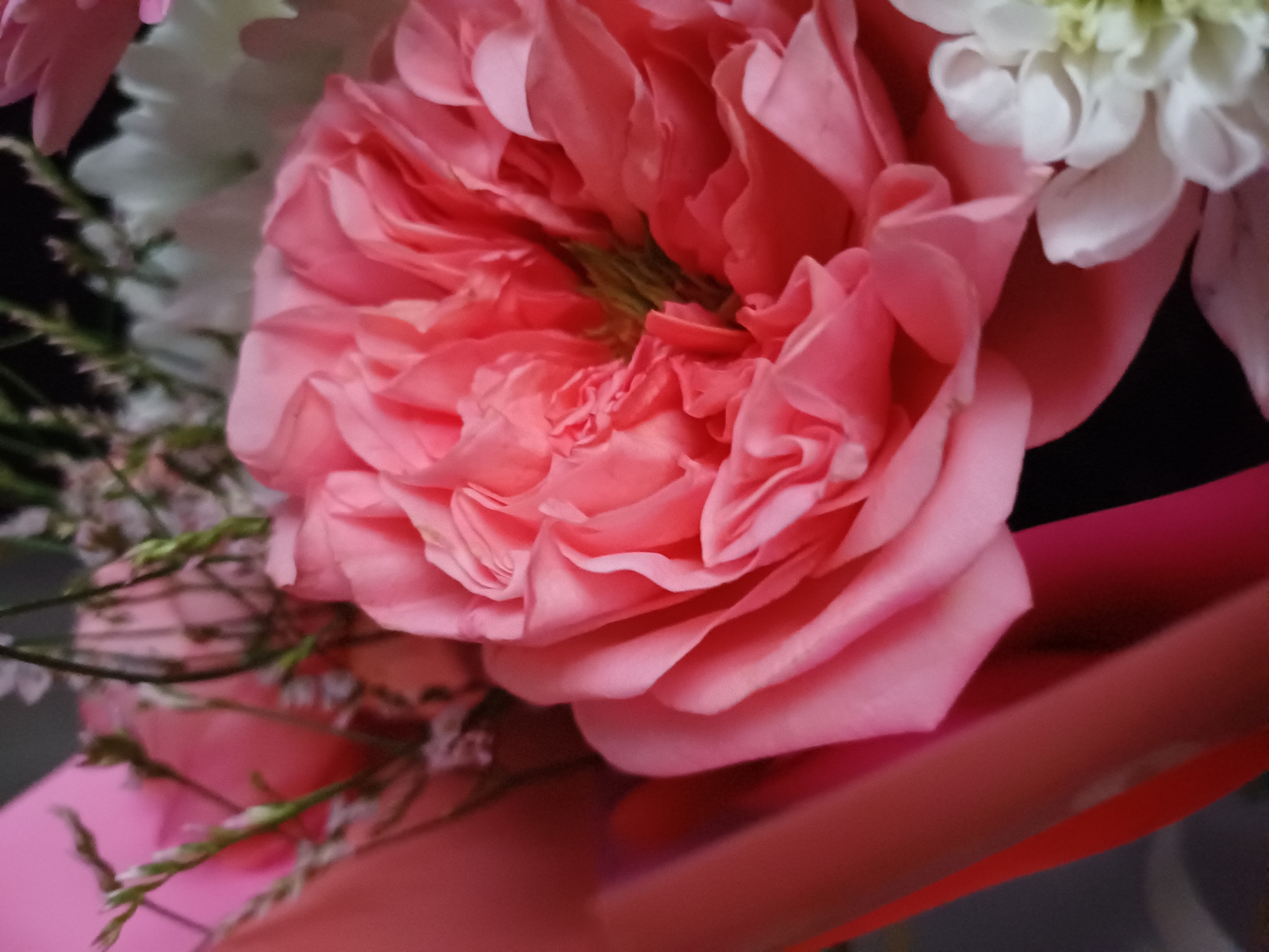 A close-up, eye-level shot features a bouquet of pink roses and white flowers, with soft, diffused lighting. The focus is on the intricate layers of a large, coral-pink rose that dominates the foreground, its petals unfurling with a textured, ruffled appearance. To the right, a white flower with tightly packed petals is partially visible. The background is dark and blurred, with hints of other floral elements and pink wrapping paper. No people or animals are present, and the setting is a studio or indoor environment. The overall impression is one of delicate beauty and natural textures.