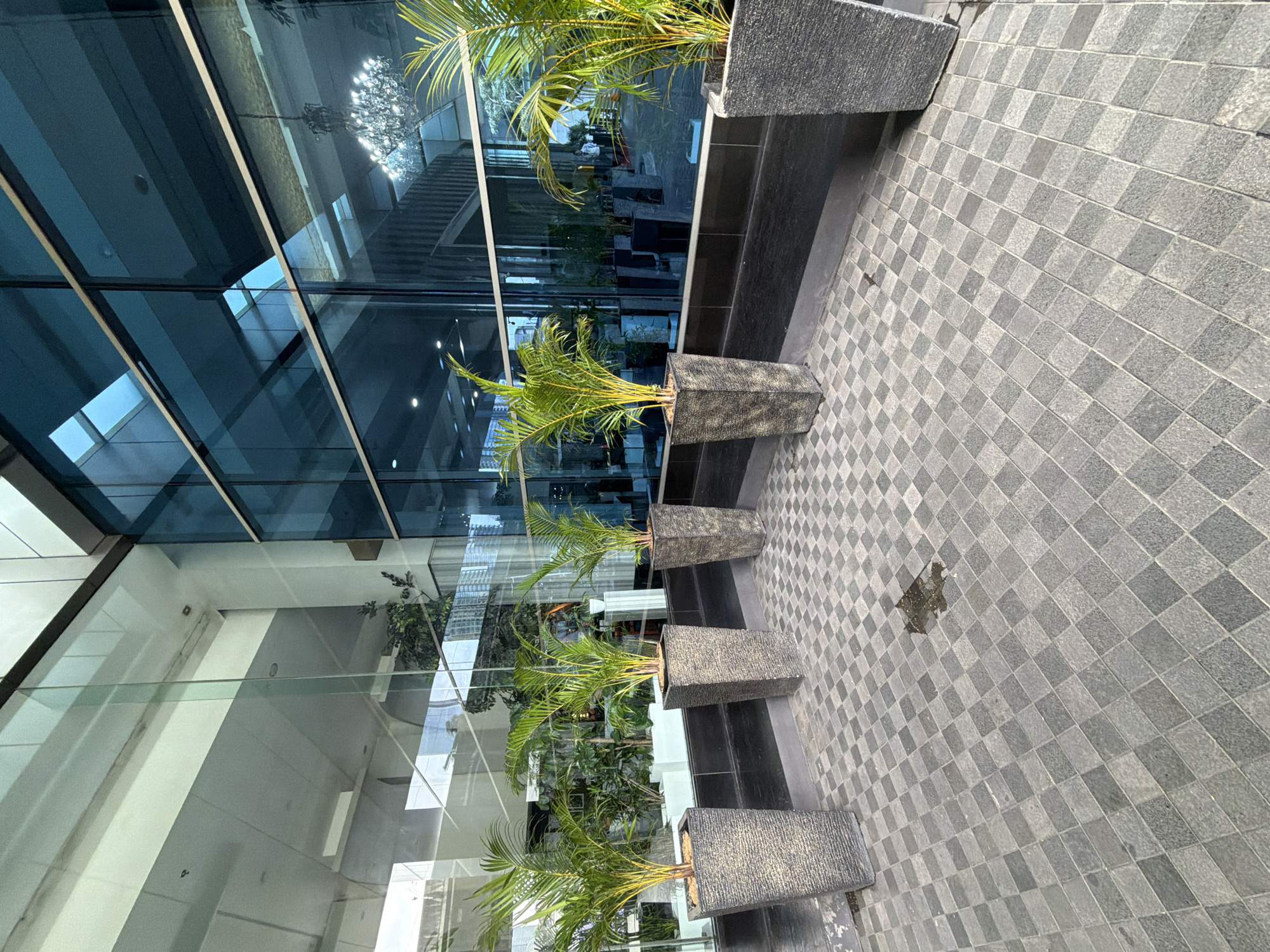 The image shows a row of four potted palm trees lined up against a modern building with a glass facade. The planters are square, textured, and gray in color. The trees are small and appear to be of the same species. The ground is paved with a checkerboard pattern of gray and light gray tiles.
Reflections in the glass facade show the interior of the building, including a chandelier and staircase. The scene appears to be outdoors during daylight hours.
The location is South Jakarta, Indonesia.