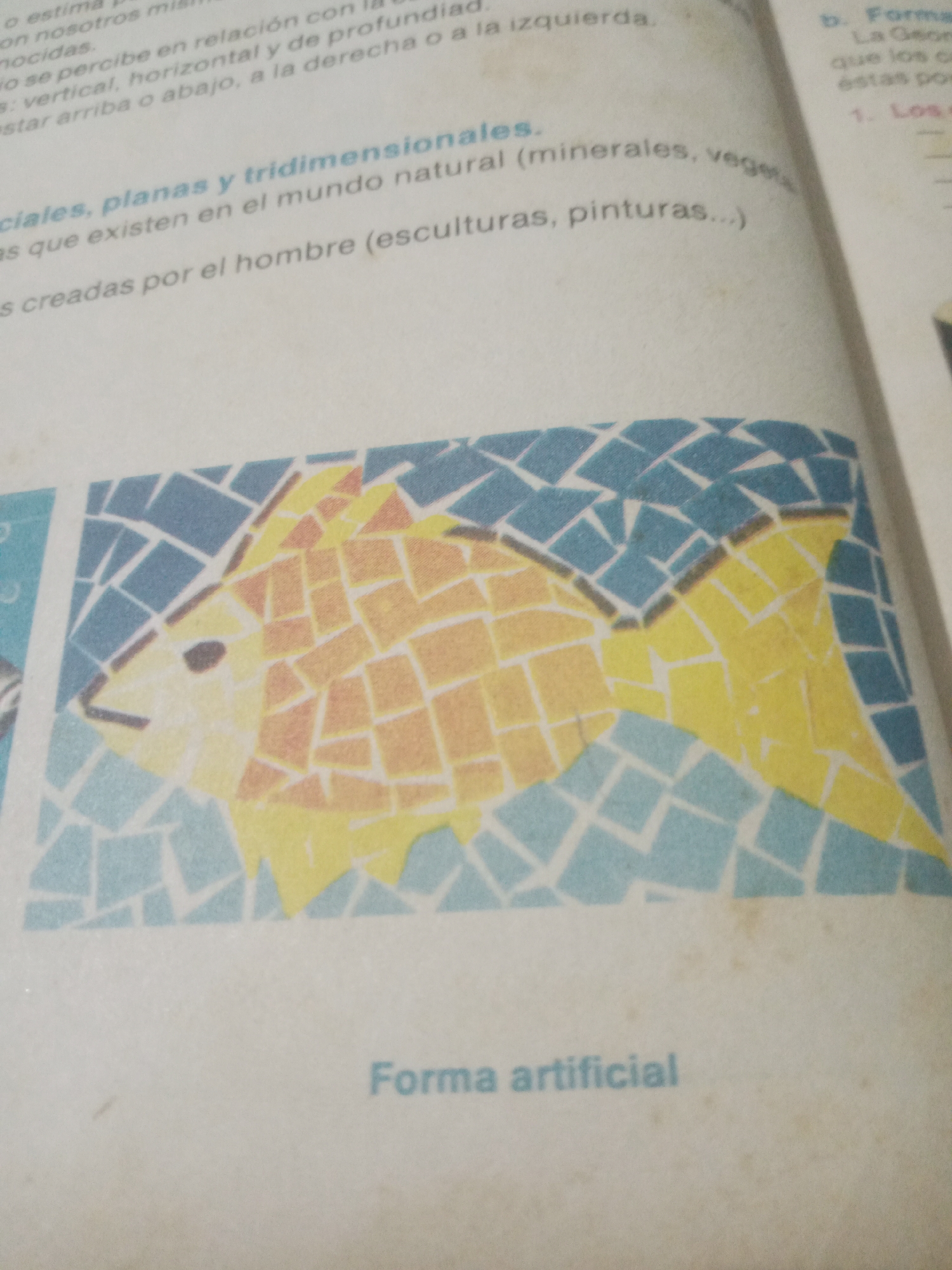 The image displays a page from a book featuring text and a mosaic artwork. The text discusses different types of shapes and their perception. The artwork is a colorful mosaic of a fish, composed of small, irregularly shaped tiles in shades of blue, yellow, and orange, set against a light background. Below the mosaic, the text "Forma artificial" is visible, indicating it represents an artificial form. There is no information in the image that relates to the city of Santa Ana, Venezuela.