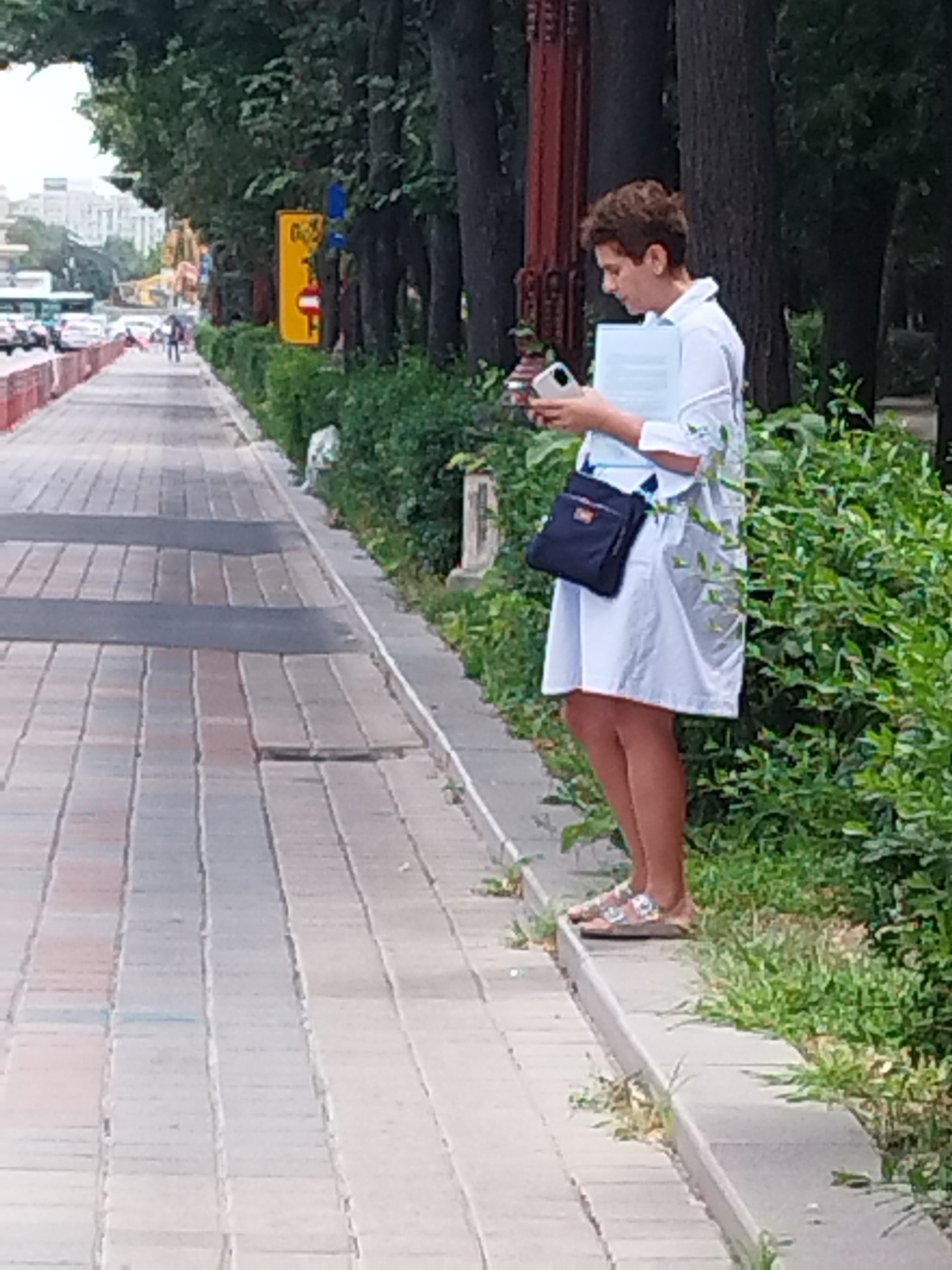 The image depicts a young person standing on a sidewalk next to a street in Bucharest, Romania. The person is wearing a white dress and sandals, and is holding a phone and a stack of papers. They are looking down at the phone, seemingly engaged with it. The sidewalk is paved with rectangular stones and bordered by a curb. Adjacent to the sidewalk is a street with traffic, including cars and a bus. Lush green bushes line the area behind the sidewalk, with trees further in the background. The overall setting suggests an urban environment.