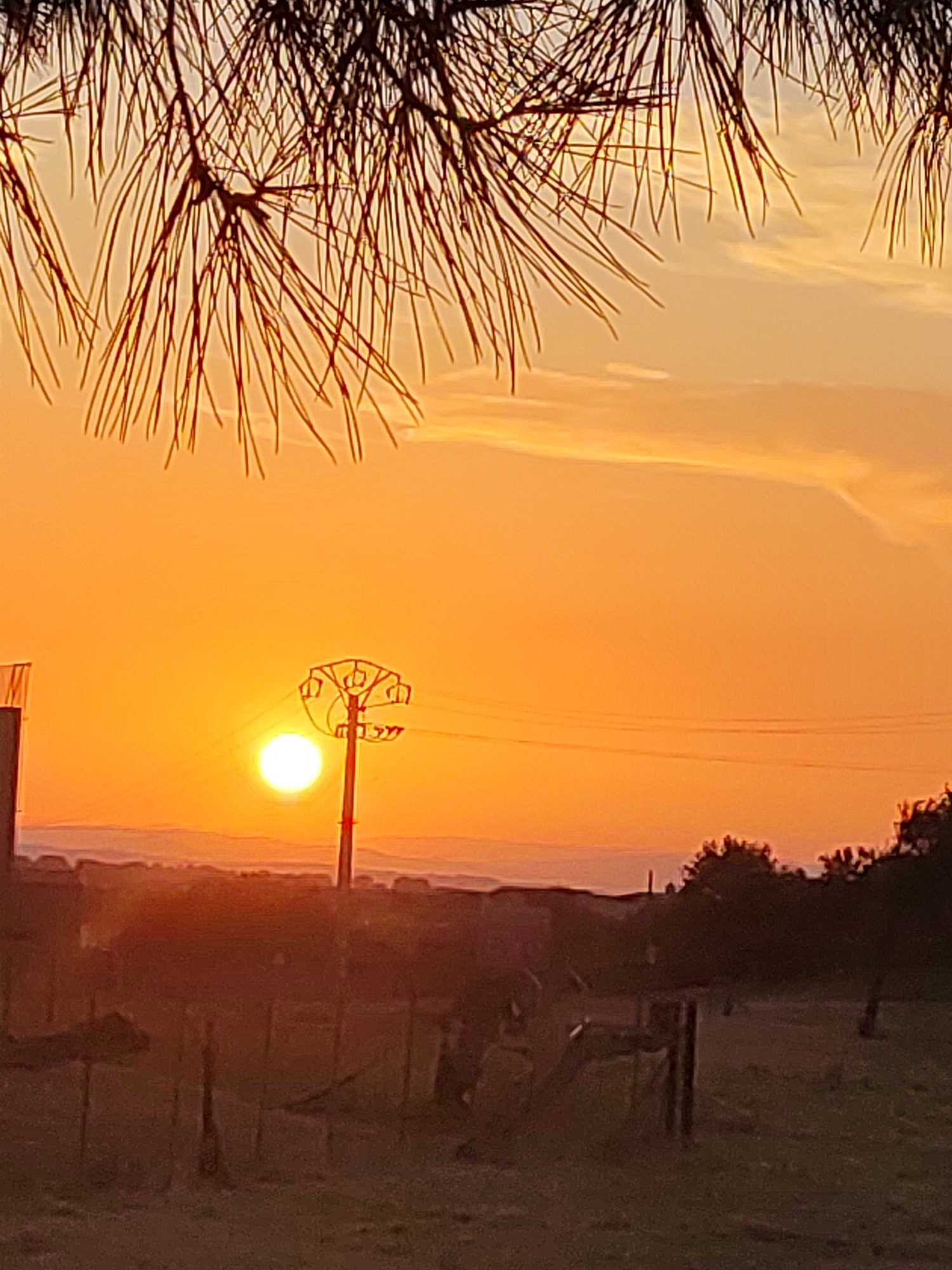 The image captures a sunset over Sobradillo, Spain, with the sun appearing as a bright, luminous orb positioned slightly to the left of the frame's center. The sky is painted in vibrant hues of orange and yellow, with wispy clouds streaking across the upper portion. In the foreground, the silhouette of pine needles hangs from the top of the frame, adding a natural frame to the scene. A power line pole stands prominently in the mid-ground, its structure silhouetted against the bright sky, with wires extending horizontally. The landscape below is rendered in dark tones, with distant hills or mountains visible on the horizon. The lower part of the image shows a fence and some vegetation, also in silhouette. There are no people or animals visible in the scene.