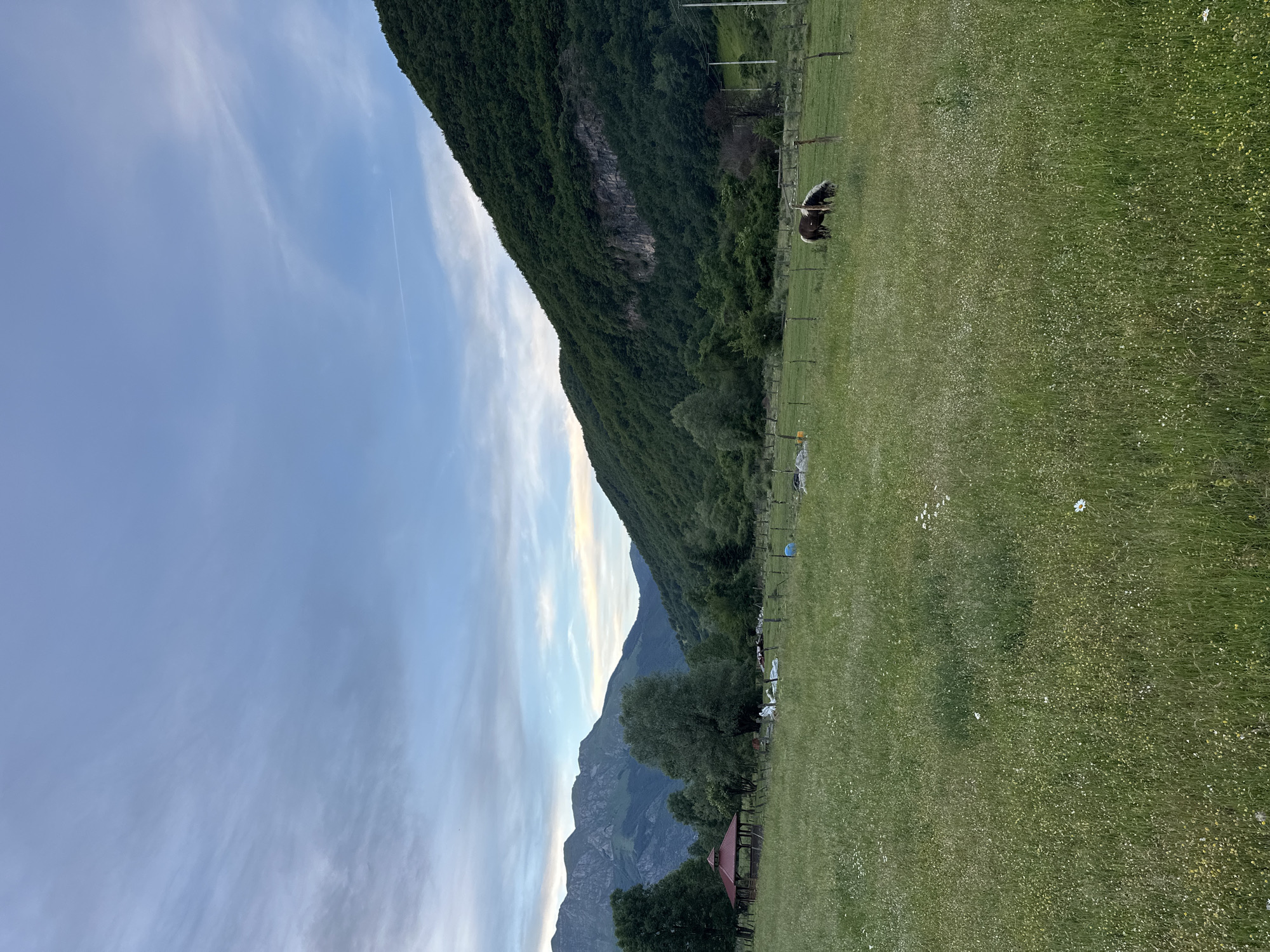 The image depicts a serene rural landscape with rolling green hills under a partly cloudy sky. In the foreground, a vast meadow is dotted with small wildflowers. To the left, a red-roofed gazebo stands in a grassy area. Further back, trees of varying heights create a natural border. In the middle ground, a fence delineates a pasture where a lone horse grazes. The background is dominated by a majestic mountain range, its slopes covered in dense green foliage. The overall impression is one of tranquility and natural beauty, suggestive of a peaceful countryside setting. The image is likely taken in the vicinity of Gusinje, Montenegro, a town known for its stunning mountain scenery and natural parks.