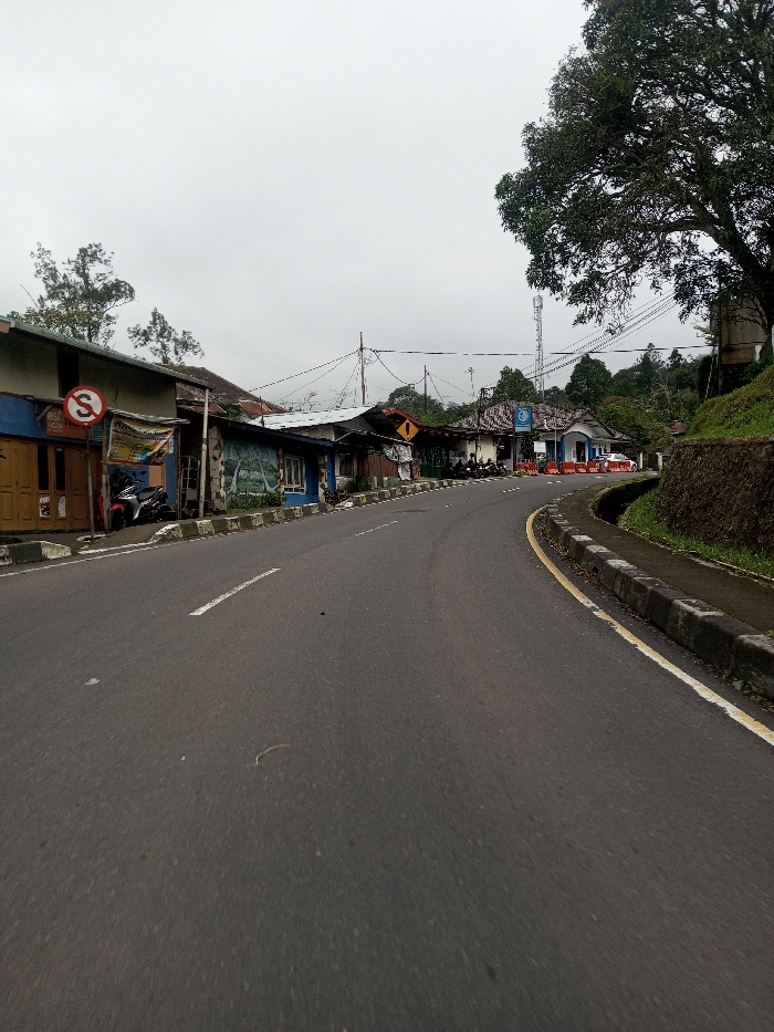 An asphalt road curves gently to the right under an overcast grey sky in Bangtsho, Bhutan. On the left side of the road, a row of one-story buildings includes a structure with a light brown wooden door and blue upper facade, displaying a circular red "No Stopping" sign. A dark-colored motorcycle is parked partially visible nearby. Adjacent to this, another building features a mural of trees on its blue wall. Further down the road on the left, a yellow triangular sign with a black arrow points right. Several other motorcycles are parked along the street in front of the buildings. In the mid-ground on the left, a white building with blue trim and a blue circular logo stands behind orange traffic barriers, with a white car partially visible beyond them. Overhead, multiple utility poles support numerous power lines. The left edge of the road is defined by a dark grey concrete curb. On the right side of the road, a concrete curb with a solid yellow line borders a narrow drainage ditch. Beyond the ditch, a low retaining wall supports an elevated, vegetated slope. A large tree with dense green foliage occupies the upper right foreground, and a tall white cellular tower is visible in the distance on the hillside. The road surface in the foreground shows a solid white line on its left, which transitions to a dashed white line further along the curve. No individuals are visible.