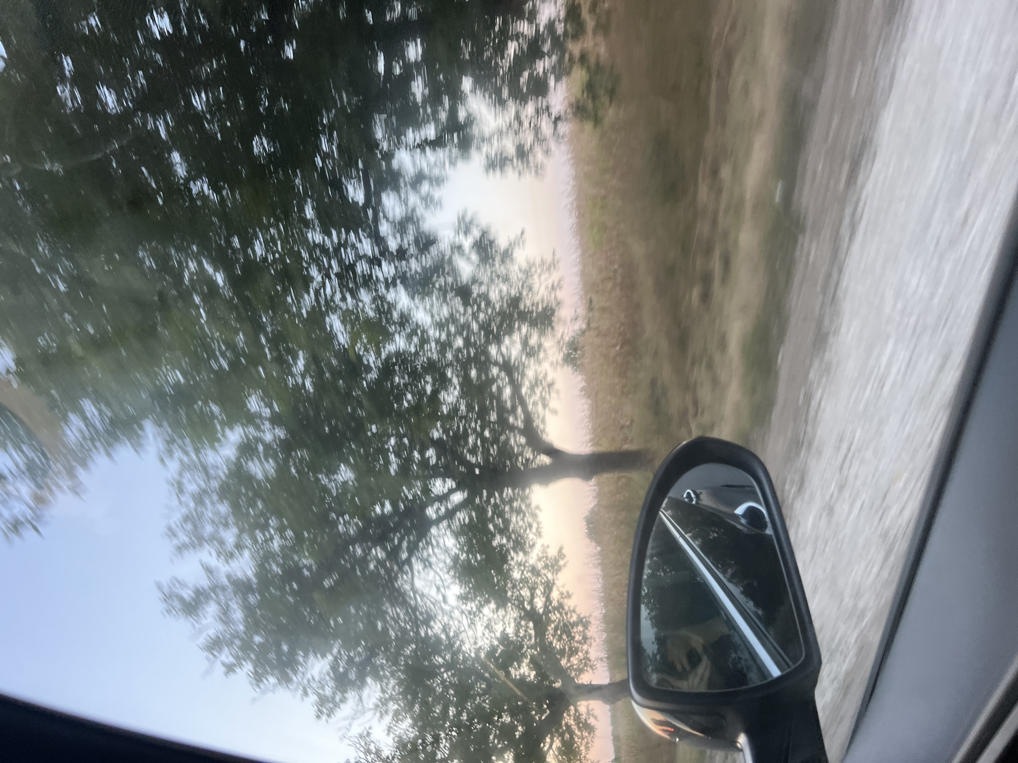 A side view from a moving vehicle shows trees and a field alongside a dirt road. In the foreground, a black car side mirror reflects the interior of the vehicle, including a person's face and arm. The sky above is a pale blue, transitioning to a soft pinkish hue near the horizon. The field consists of dry grass and crops, with tall trees lining the road. The image appears to be taken in Sculeni, Moldova, during daylight hours, possibly late afternoon or early evening due to the lighting.