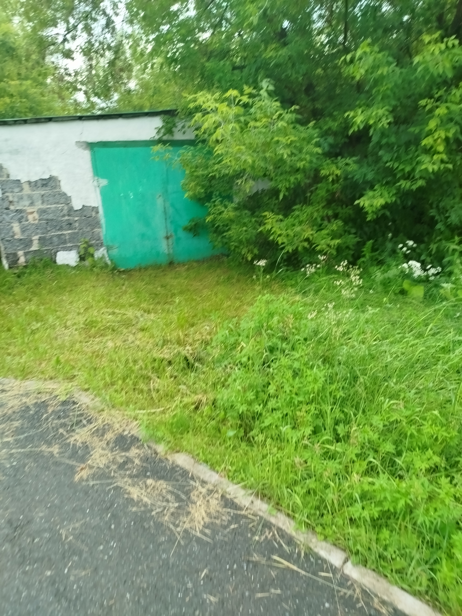 The image shows a green metal garage door with a white, peeling facade above it, situated next to a block wall. Dense green foliage, including trees and bushes, surrounds the garage. In front of the garage is a grassy area, part of which appears to have been recently mowed. A paved surface, possibly a road or pathway, runs along the bottom of the image, bordered by a strip of grass and dry vegetation. The scene is outdoors, likely in a residential or industrial area, consistent with the typical landscape of Zavodoukovsk, Russia. There are no people visible in the image.