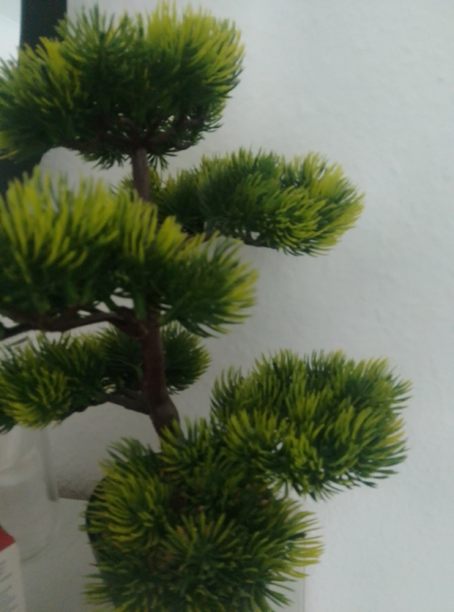 A close-up, low-angle, indoor, vertical shot of a faux pine bonsai tree is presented against a white wall. The artificial tree has a brown trunk and branches, with clusters of green and yellow artificial needles. The needles are densely packed, creating a fluffy appearance on the branches. The lighting is diffused, with no distinct shadows. The background is a plain white wall, slightly out of focus. The image contains no people, no actions, and no interactions. The scene appears to be an interior setting, possibly a home or office. The city of Wedel, Germany, is not depicted in the image.