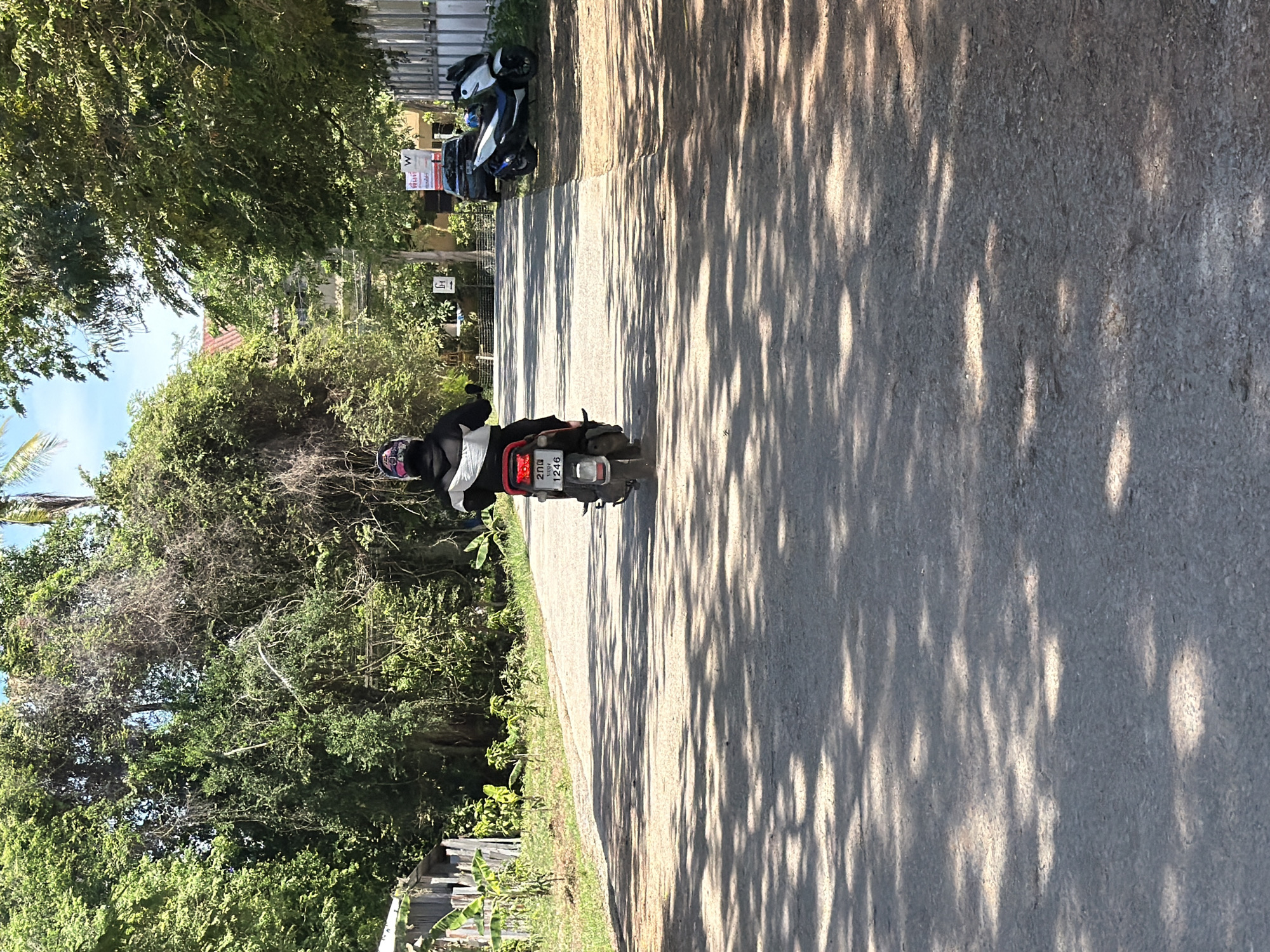 An individual wearing a helmet and a black and white jacket rides a scooter down a paved road in Baan Bo Phut, Thailand. The scooter has a license plate that reads "200 1246." The road is lined with lush green trees and vegetation on both sides. In the background, there are buildings and a white fence. Sunlight filters through the trees, casting dappled shadows on the road. Several other scooters and a car are parked on the right side of the road.